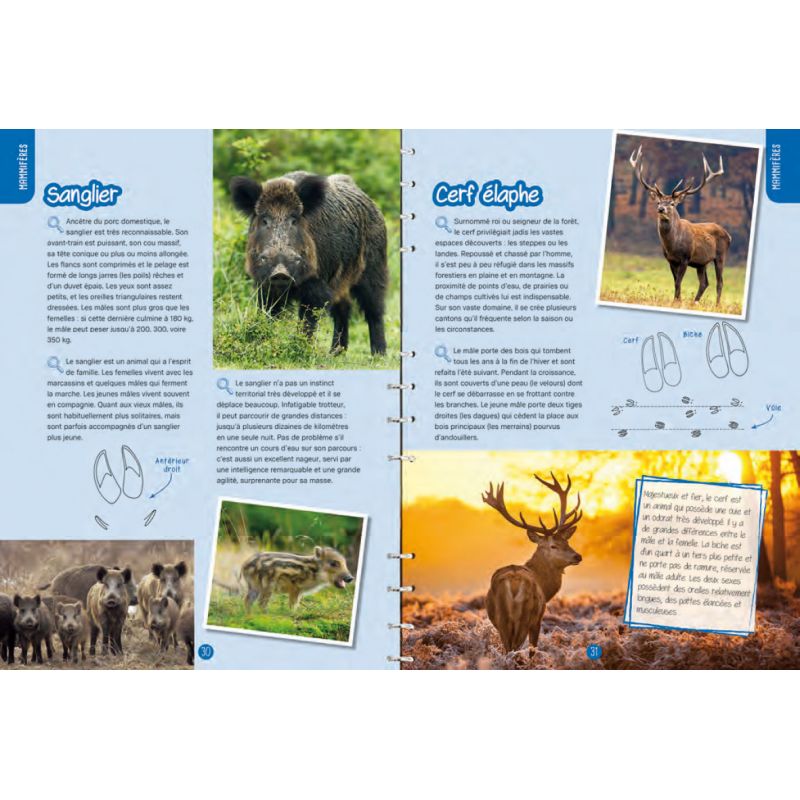 TRACES & INDICES : OBSERVER, IDENTIFIER, PRESERVER