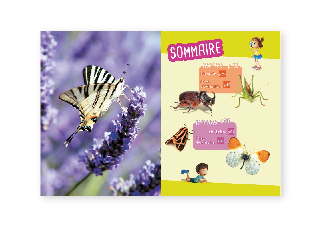 INSECTES & PAPILLONS : OBSERVER, IDENTIFIER, PRESERVER