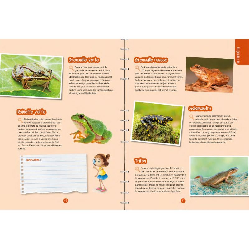 PETITES BETES & PLANTES DES MARES & DES RIVIERES : OBSERVER, IDENTIFIER, PRESERVER