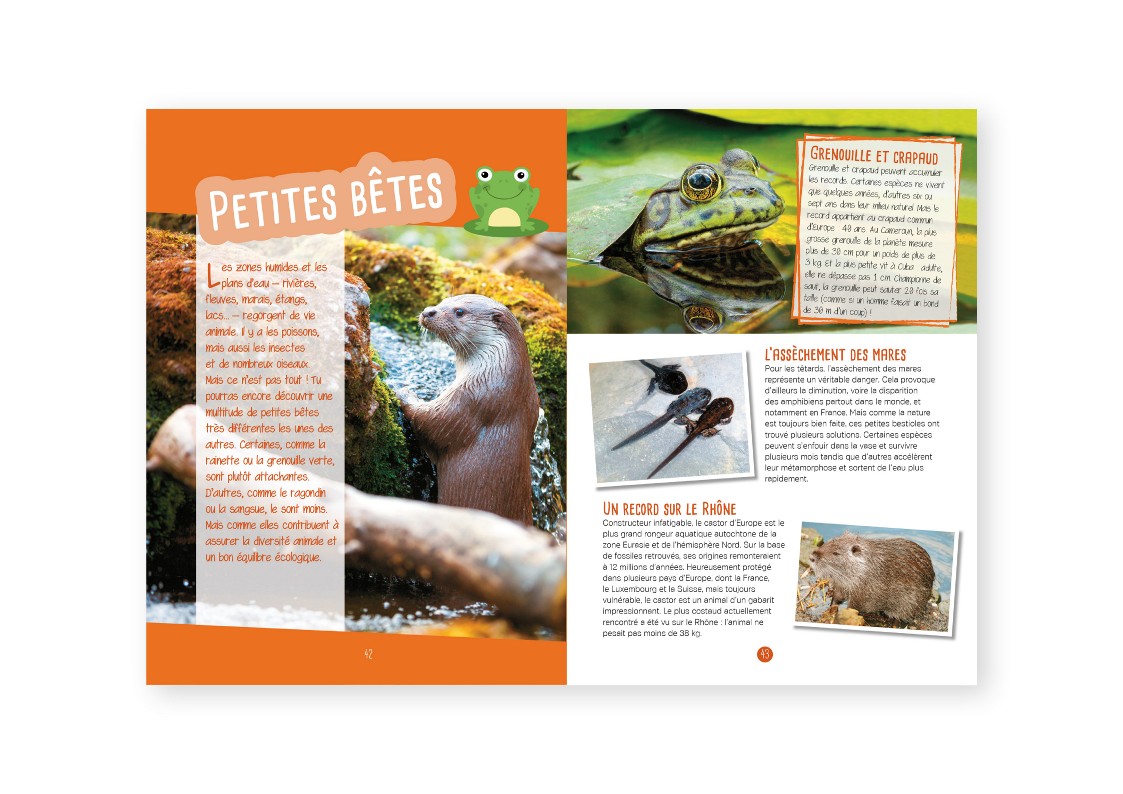 PETITES BETES & PLANTES DES MARES & DES RIVIERES : OBSERVER, IDENTIFIER, PRESERVER