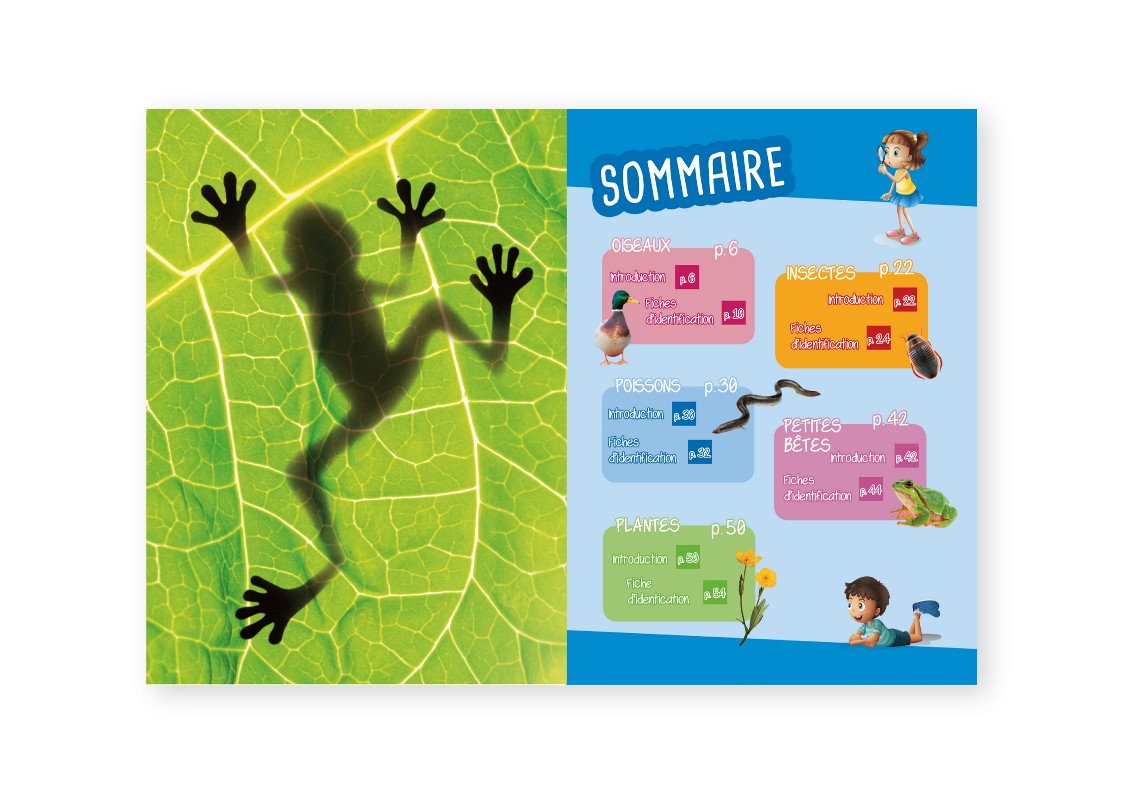 PETITES BETES & PLANTES DES MARES & DES RIVIERES : OBSERVER, IDENTIFIER, PRESERVER