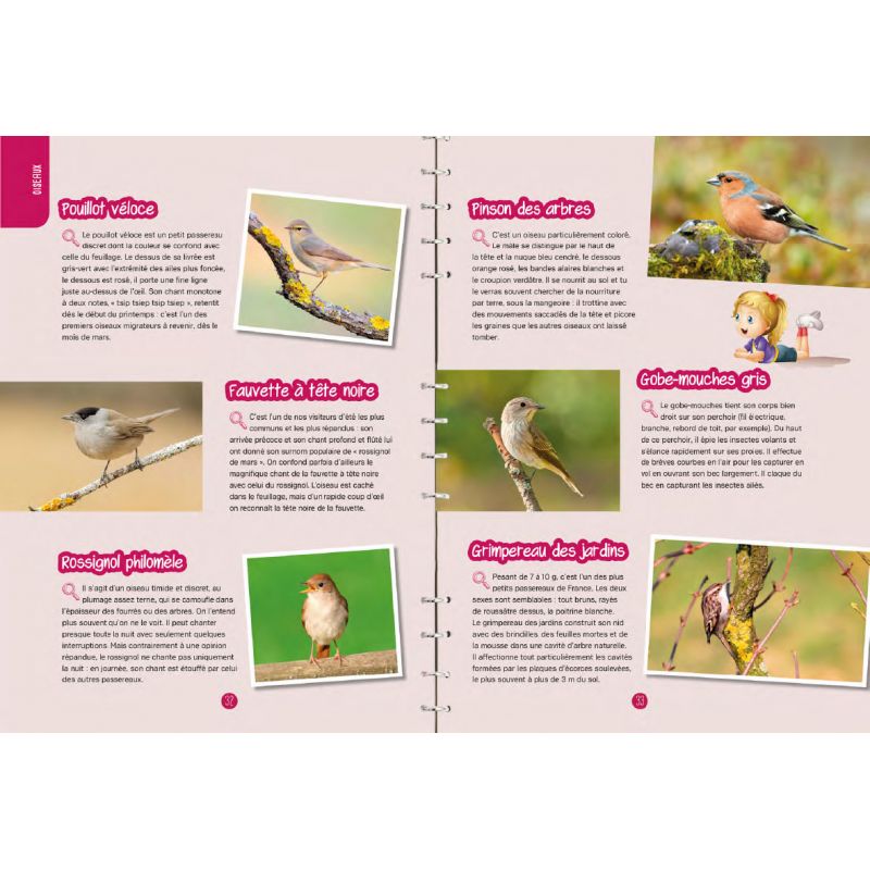 OBSERVER LES OISEAUX : IDENTIFIER, PRESERVER