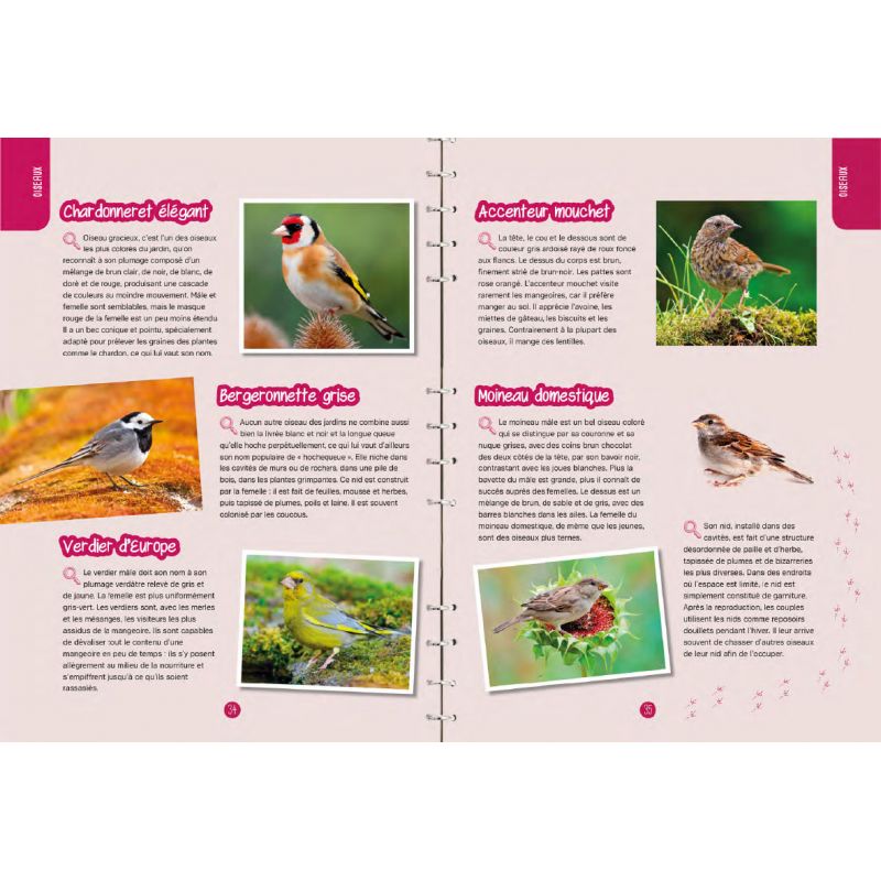OBSERVER LES OISEAUX : IDENTIFIER, PRESERVER