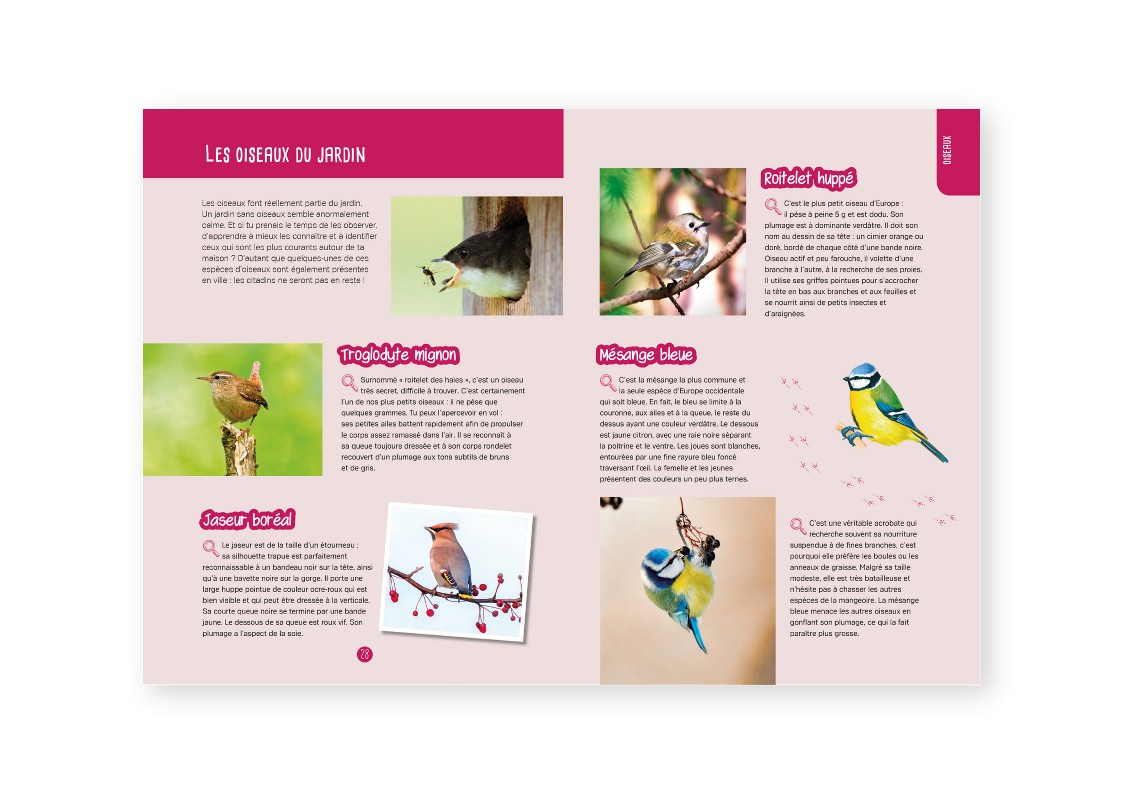 OBSERVER LES OISEAUX : IDENTIFIER, PRESERVER
