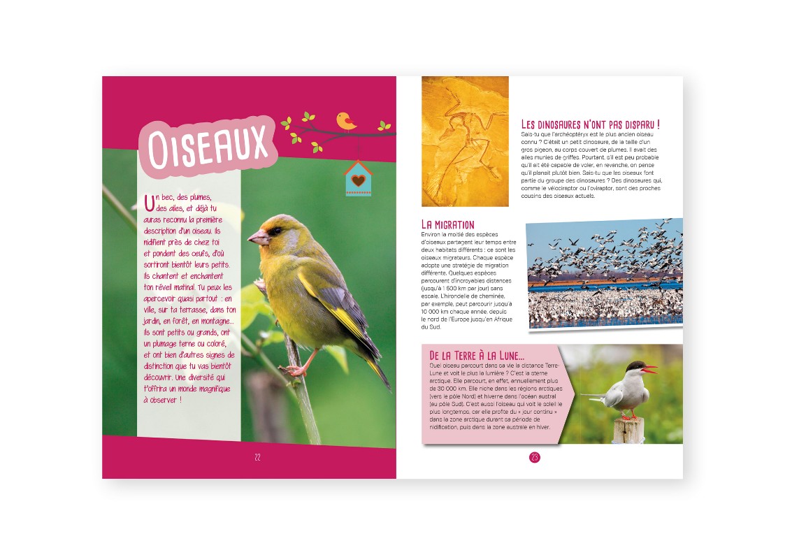 OBSERVER LES OISEAUX : IDENTIFIER, PRESERVER