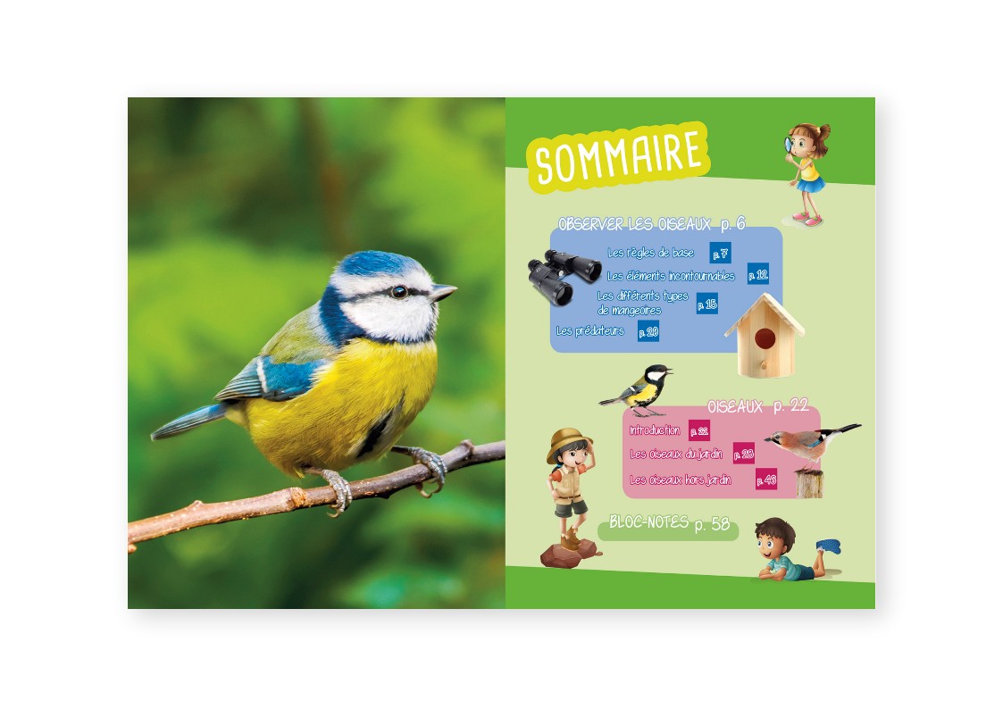 OBSERVER LES OISEAUX : IDENTIFIER, PRESERVER