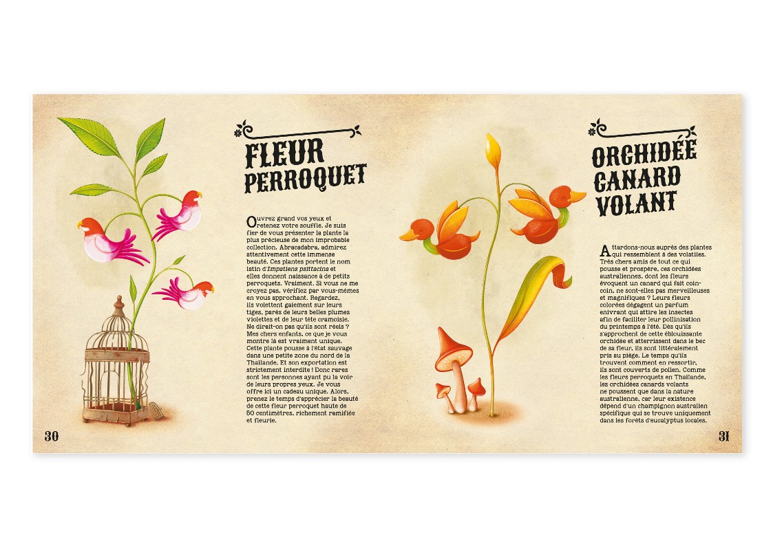 INCROYABLES PLANTES DU MONDE