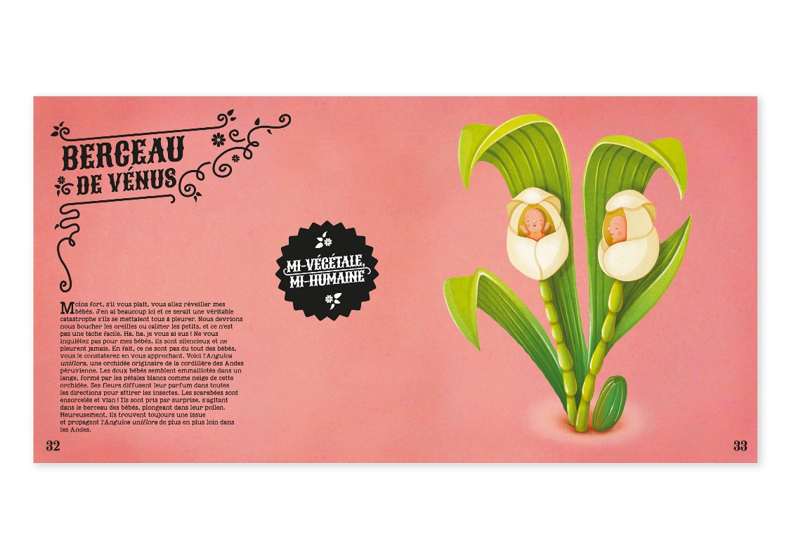 INCROYABLES PLANTES DU MONDE