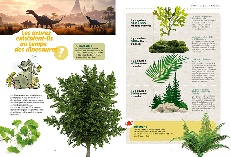 TOUT TOUT TOUT SUR LES ARBRES