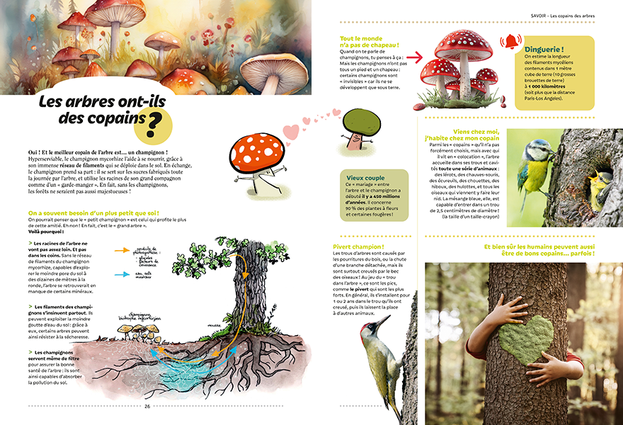 TOUT TOUT TOUT SUR LES ARBRES
