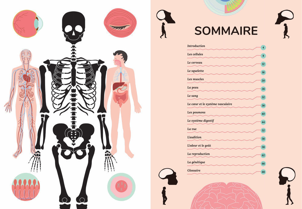 LES MYSTERES DU CORPS HUMAIN