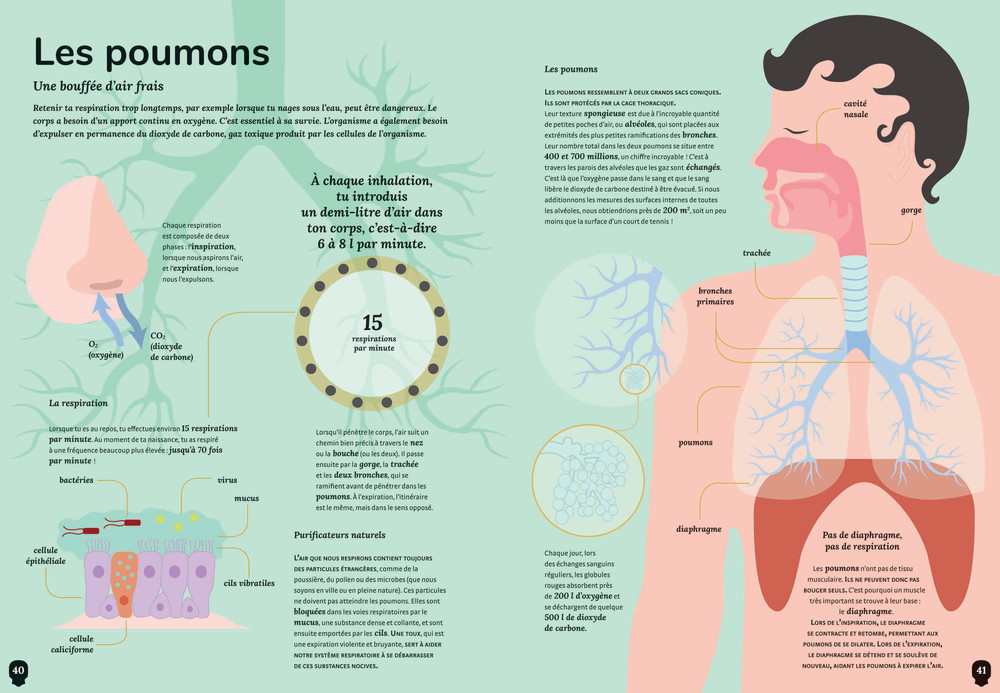 LES MYSTERES DU CORPS HUMAIN