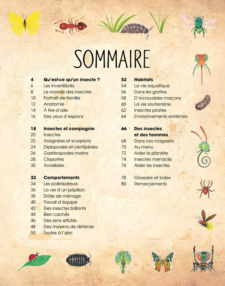 INSECTES ET PETITES BETES