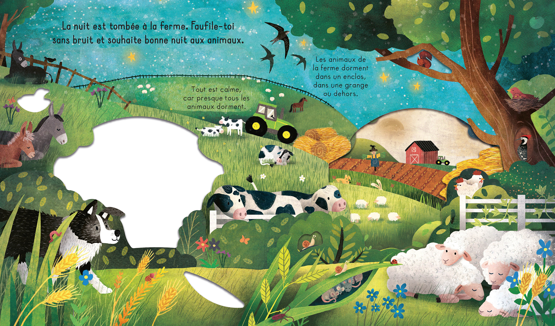 BONNE NUIT, LA FERME !