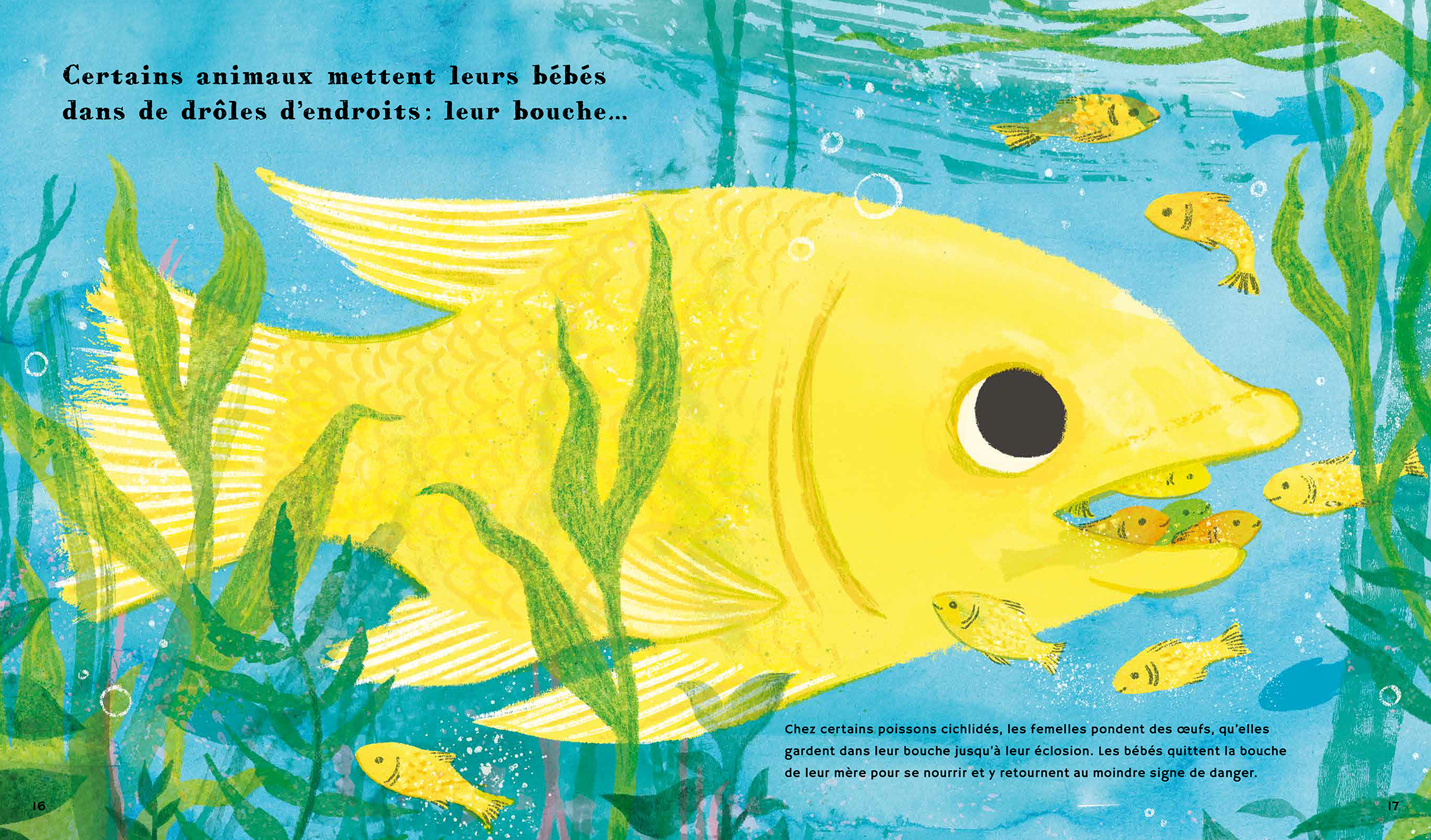 LE MONDE DES BEBES ANIMAUX