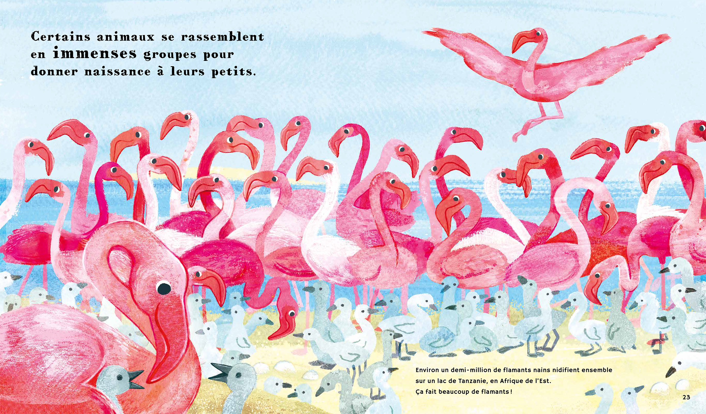 LE MONDE DES BEBES ANIMAUX