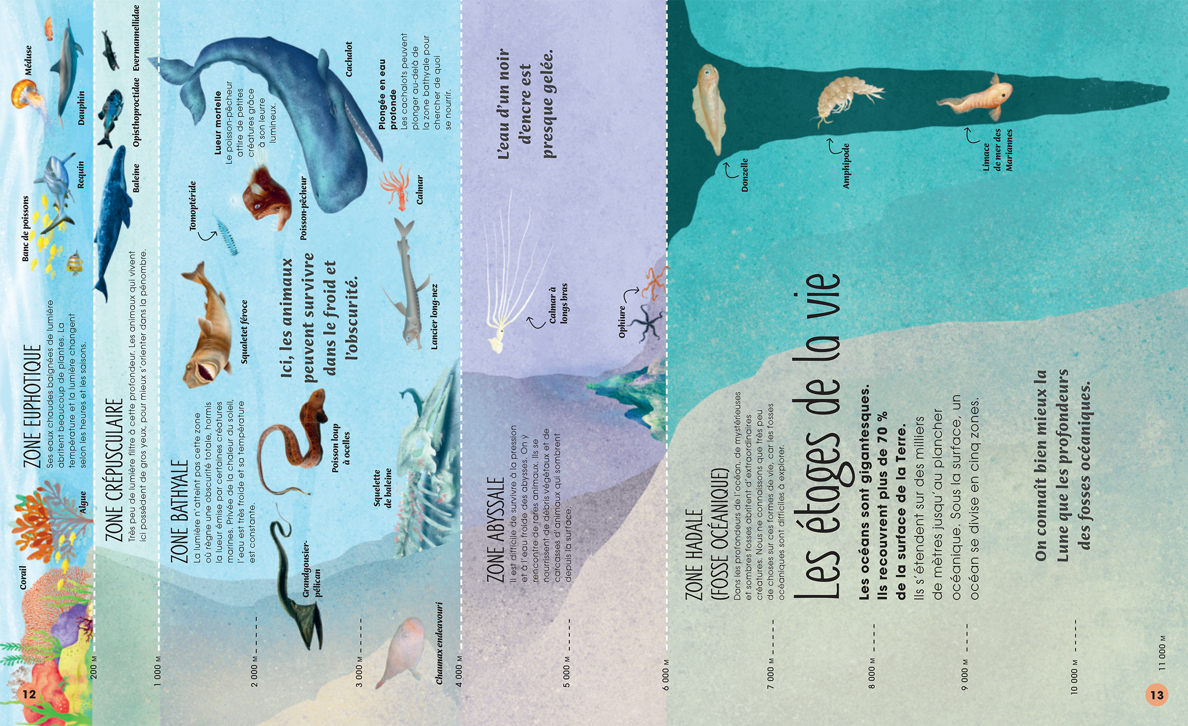 SECRETS ET MYSTERES DES OCEANS