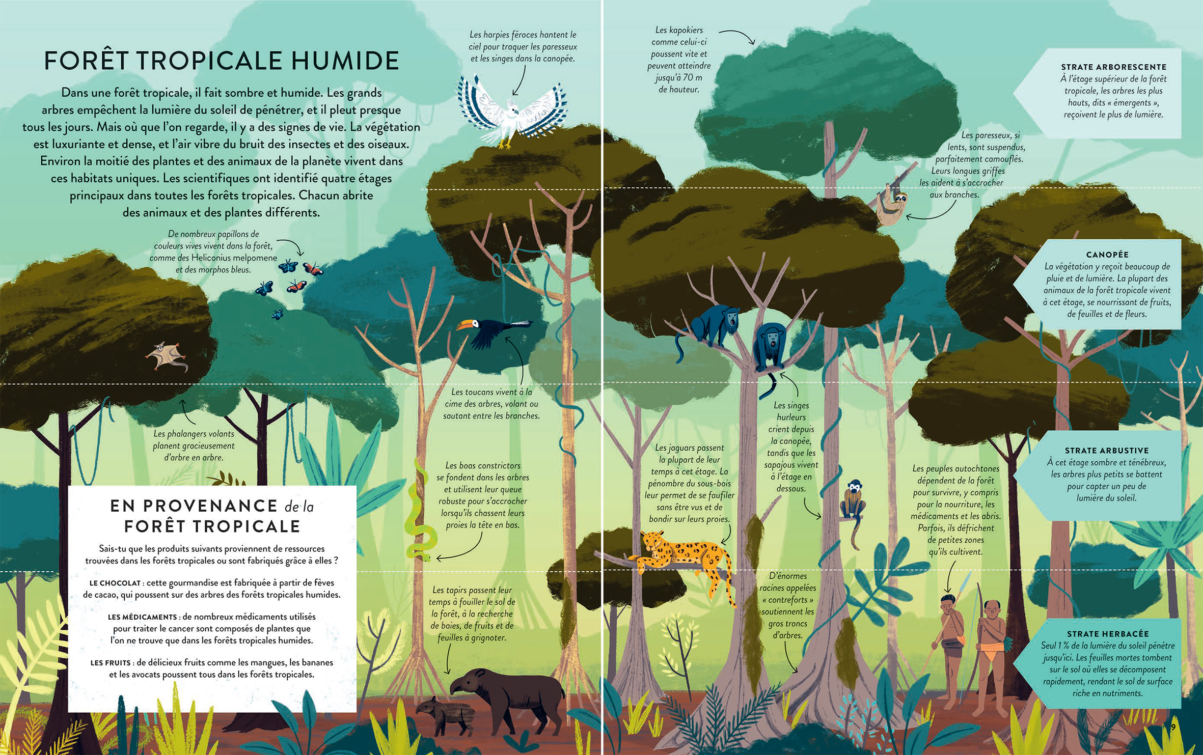LES FORETS, UN TRESOR A PRESERVER