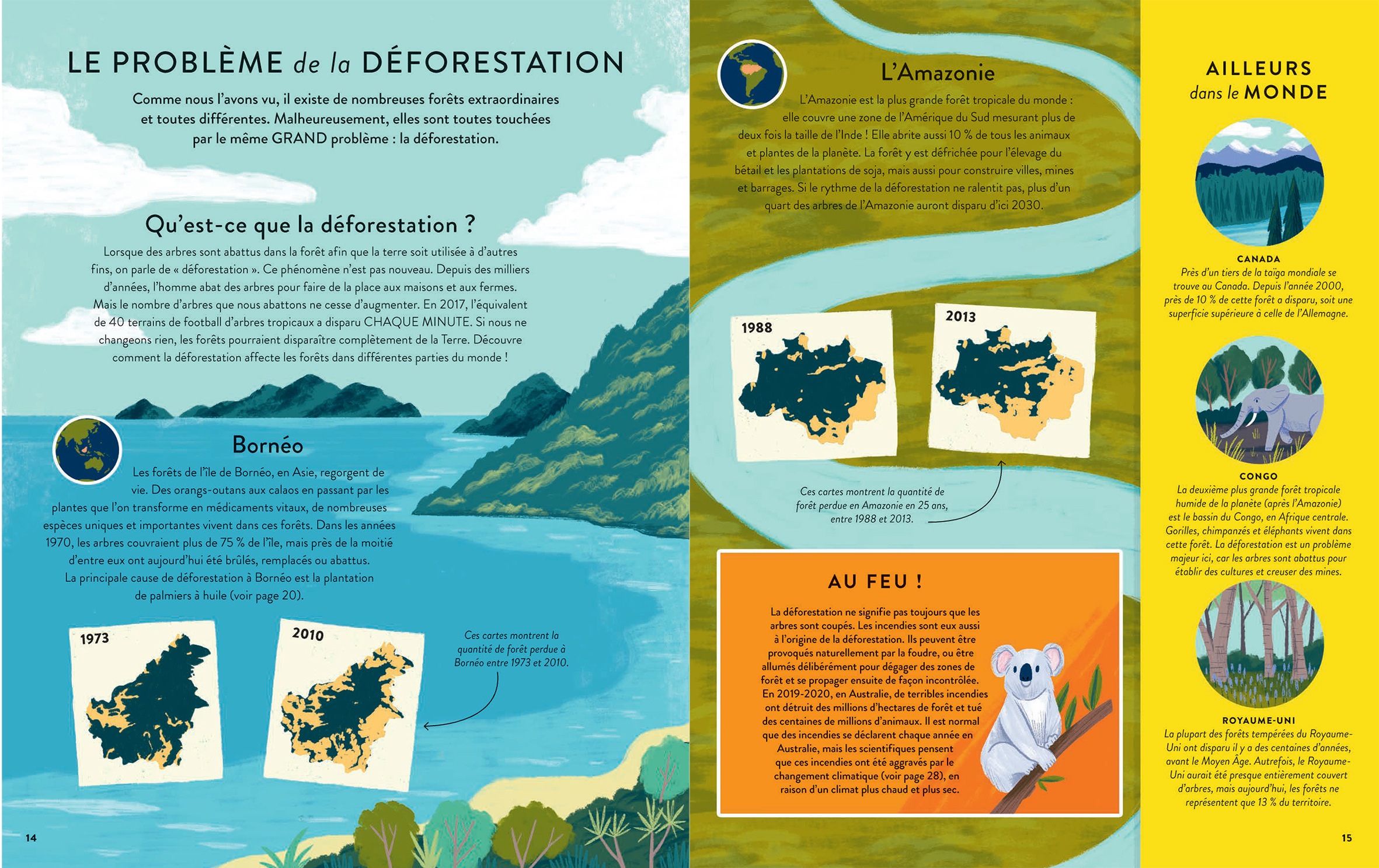 LES FORETS, UN TRESOR A PRESERVER