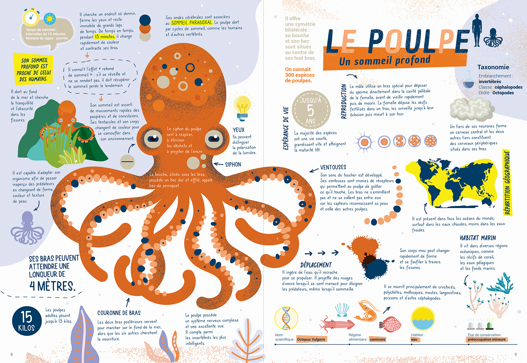 LES ANIMAUX, AU DODO ! 