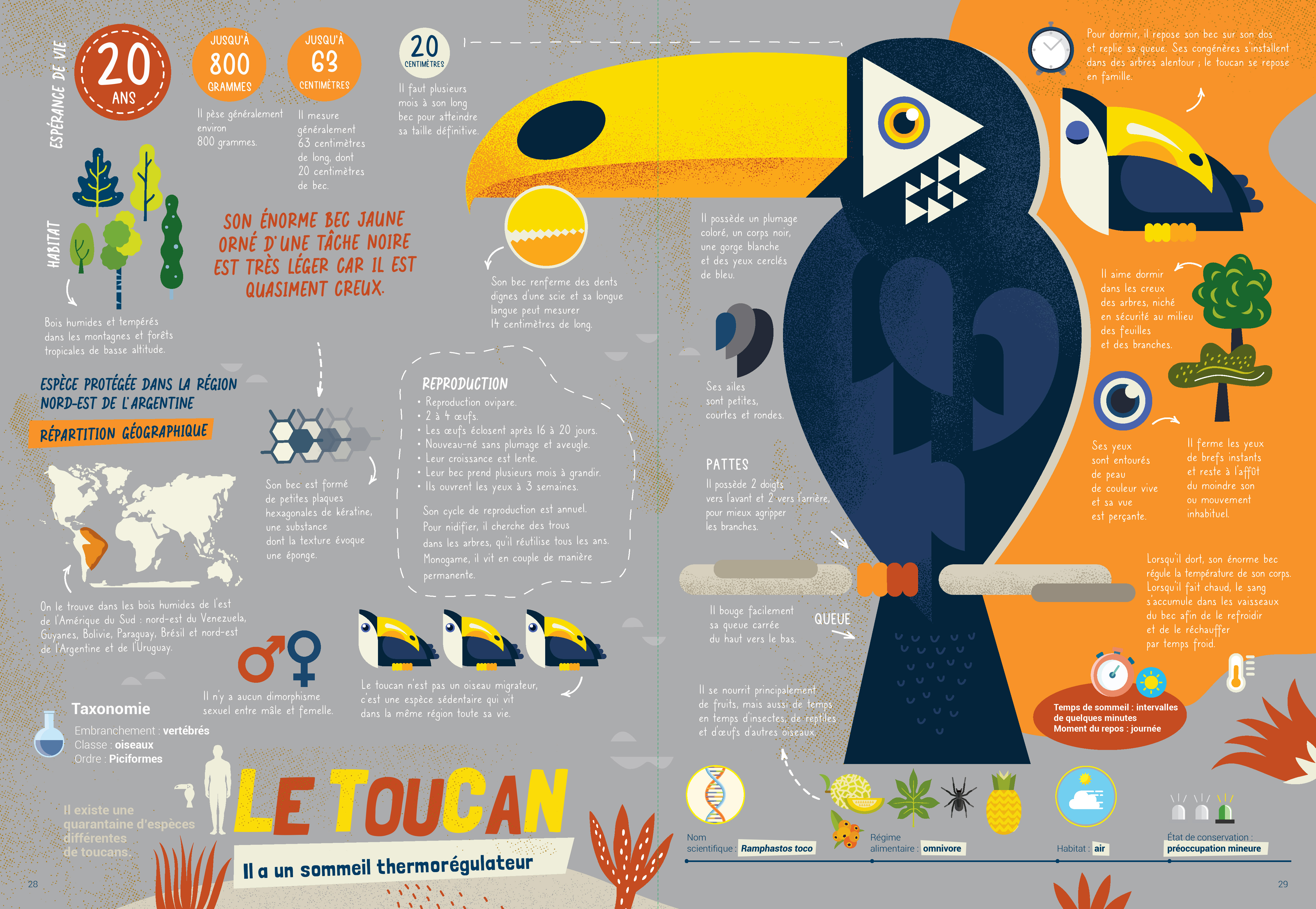 LES ANIMAUX, AU DODO ! 