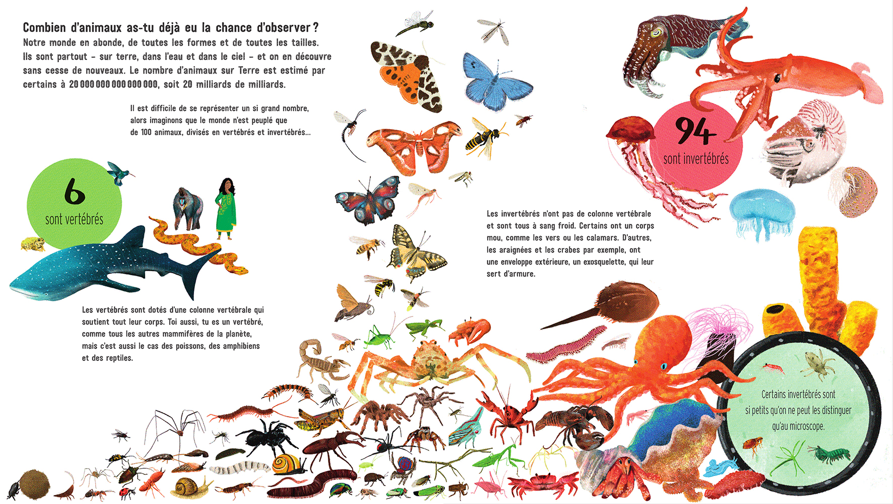 SI LE MONDE NE COMPTAIT QUE 100 ANIMAUX