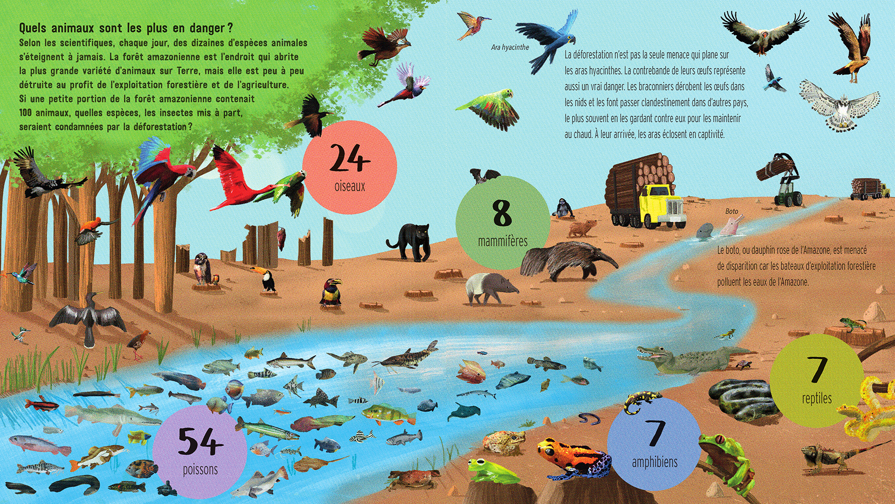 SI LE MONDE NE COMPTAIT QUE 100 ANIMAUX