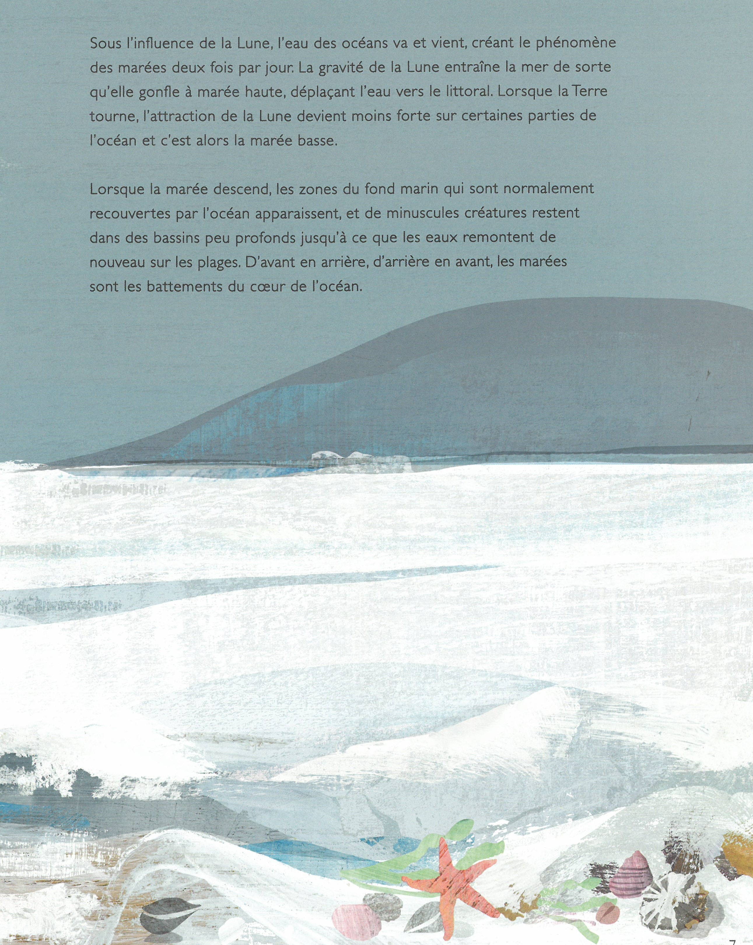 SECRETS DE NOS OCEANS 