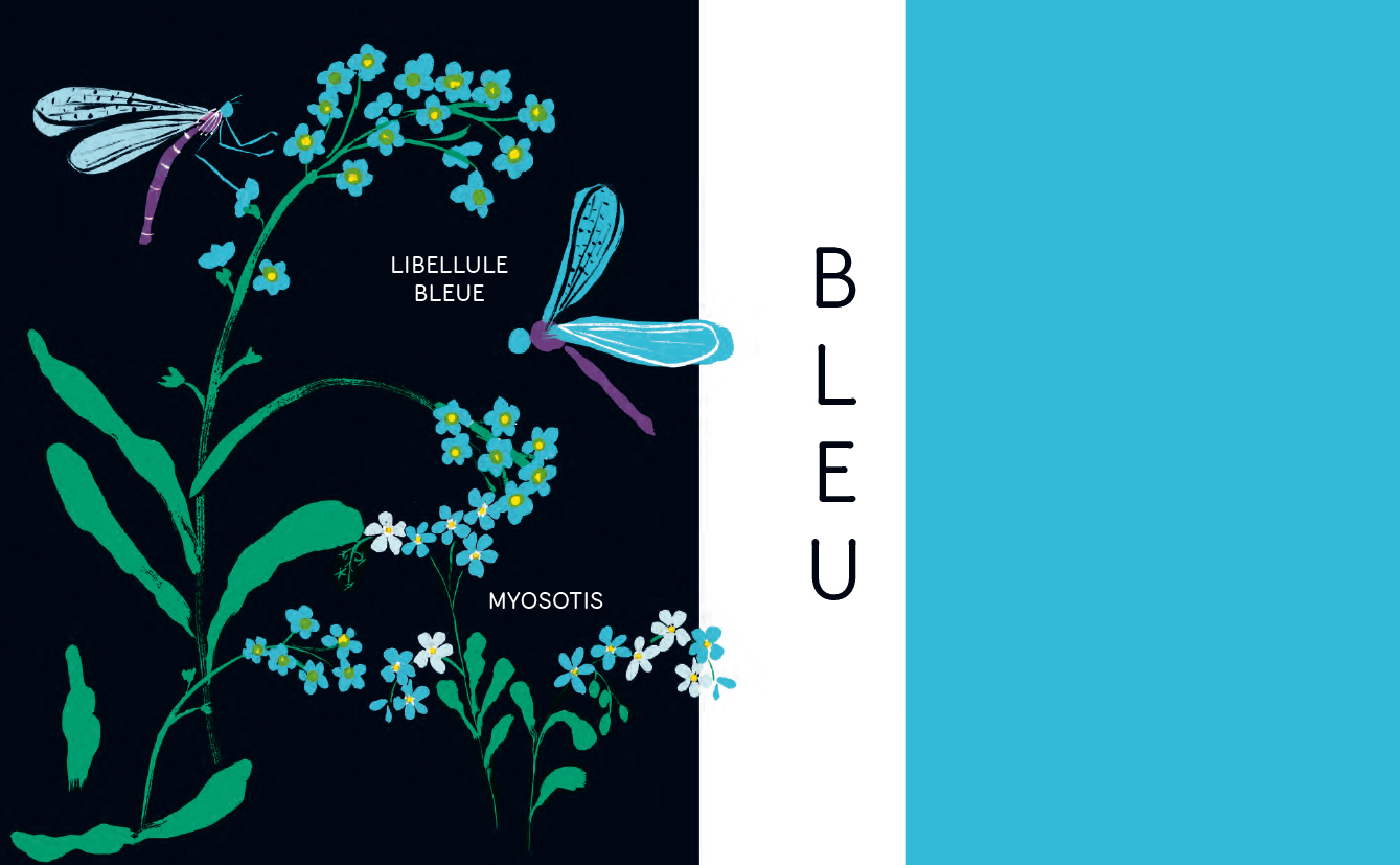 COULEURS PRINTEMPS
