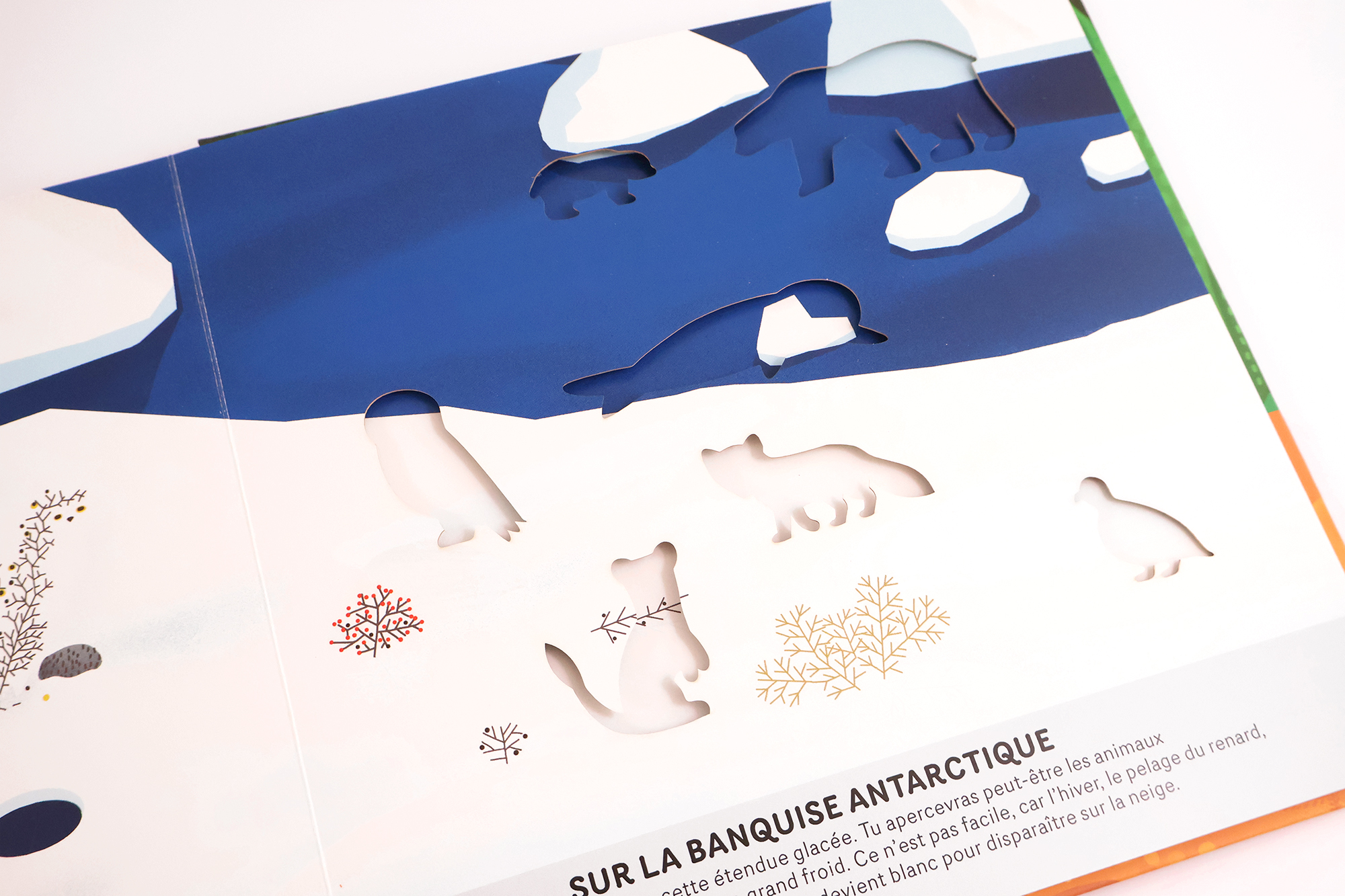 OH ! LES ANIMAUX
