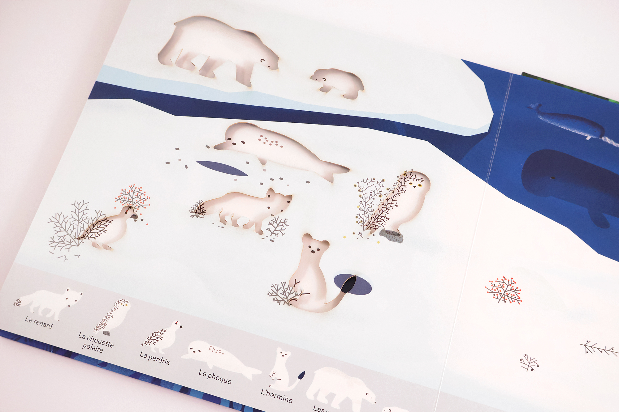 OH ! LES ANIMAUX