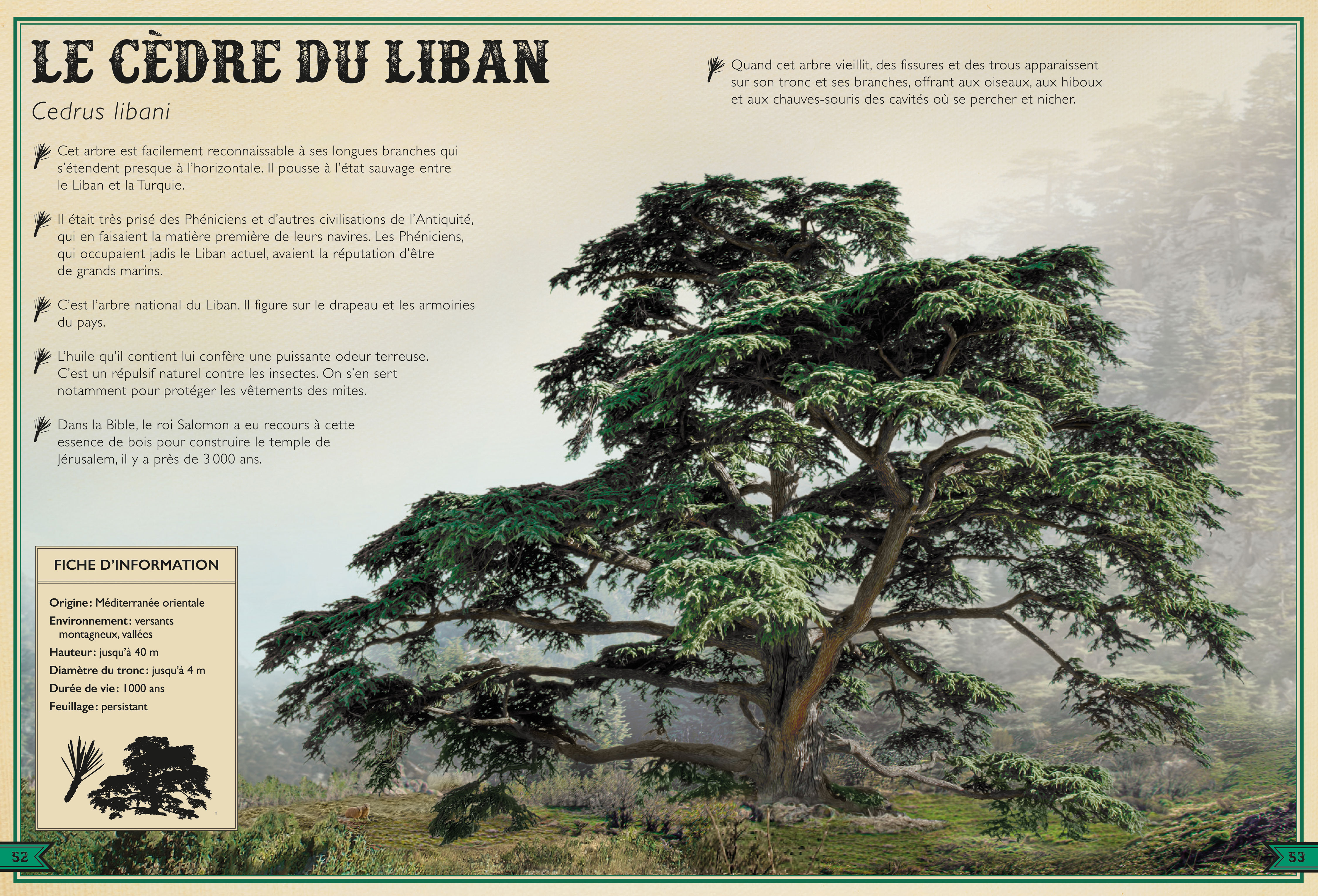 LE LIVRE EXTRAORDINAIRE DES ARBRES