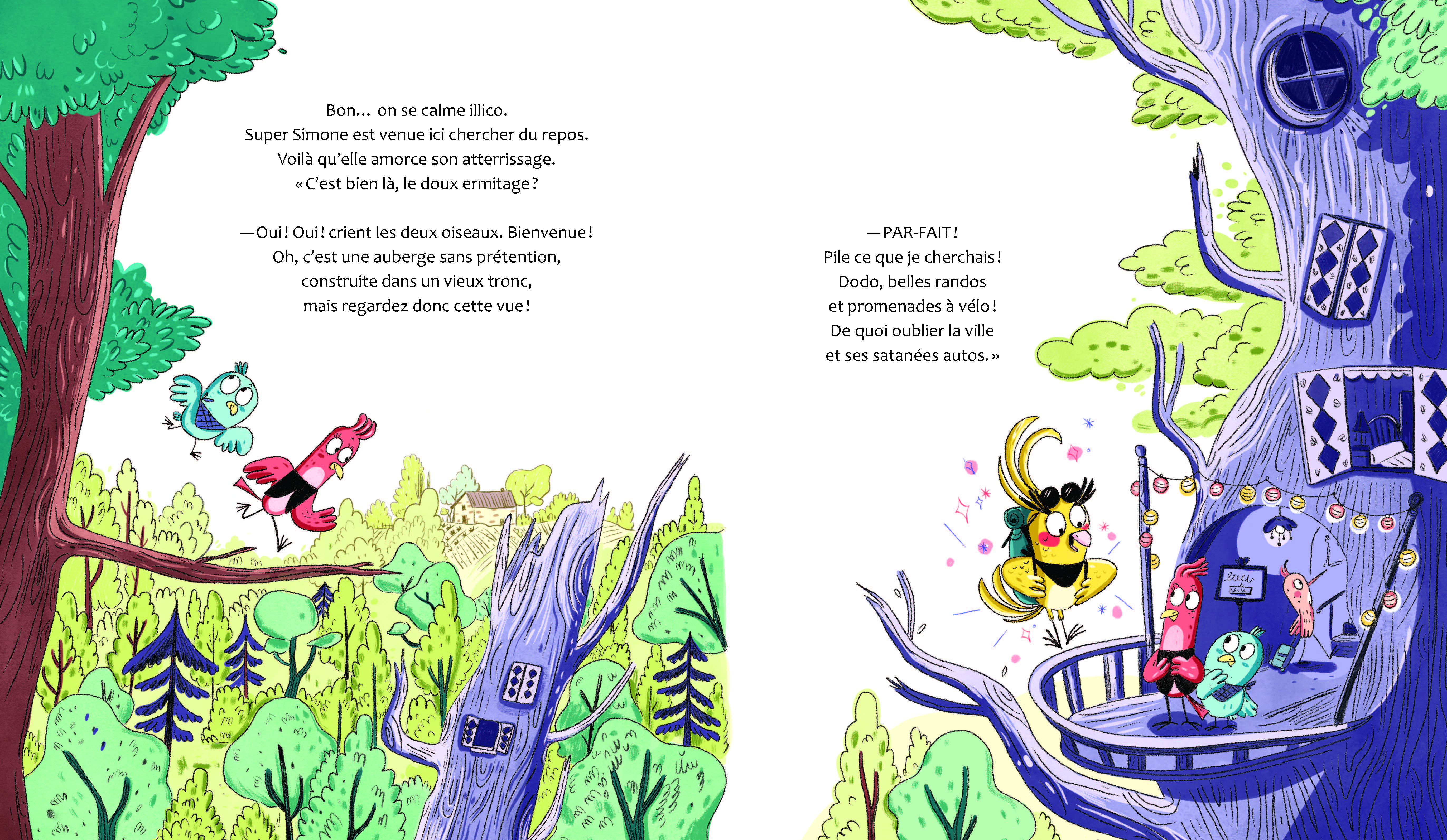 SUPER SIMONE SAUVE LES OISEAUX SUPER SIMONE SAUVE LES OISEAUX