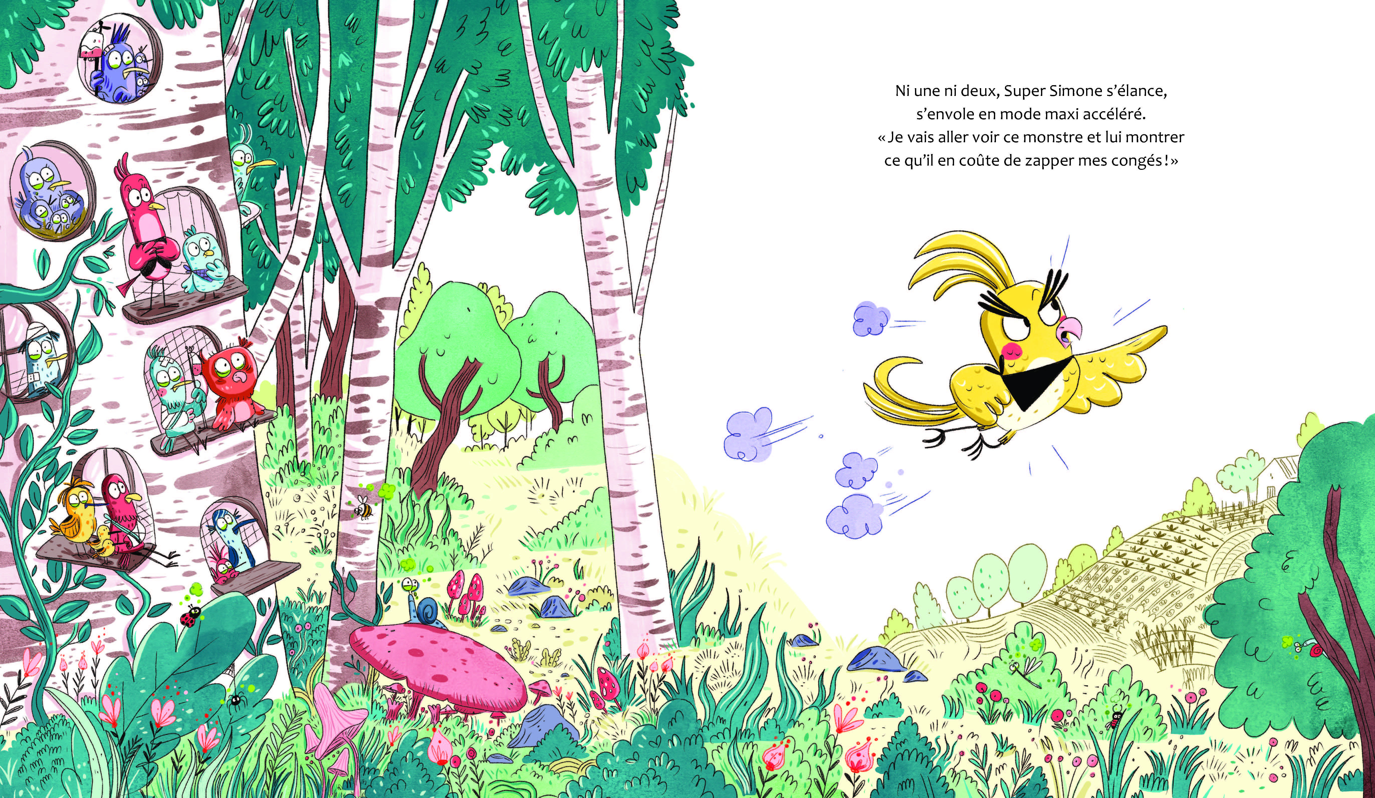 SUPER SIMONE SAUVE LES OISEAUX SUPER SIMONE SAUVE LES OISEAUX