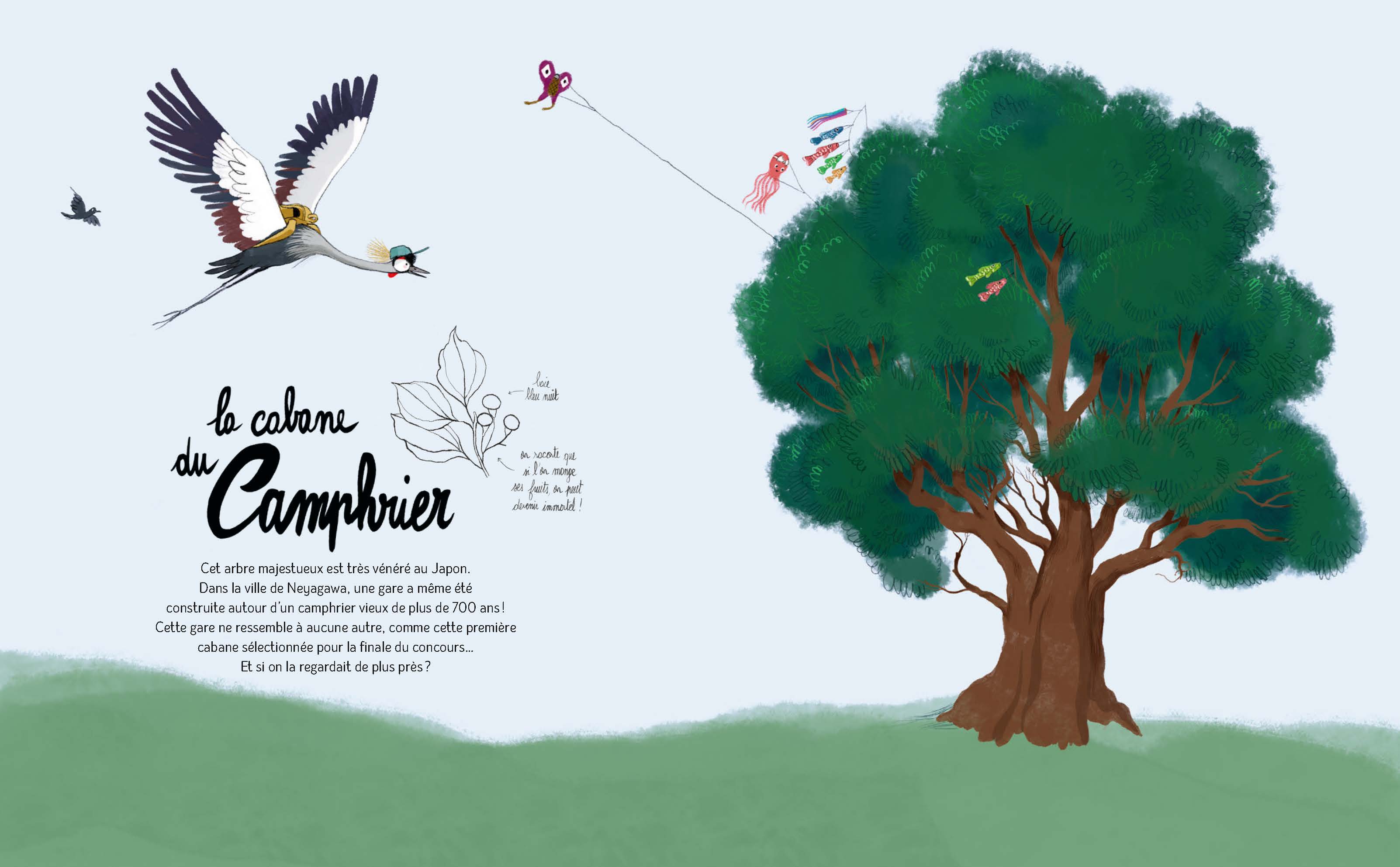 LE CONCOURS DE CABANES