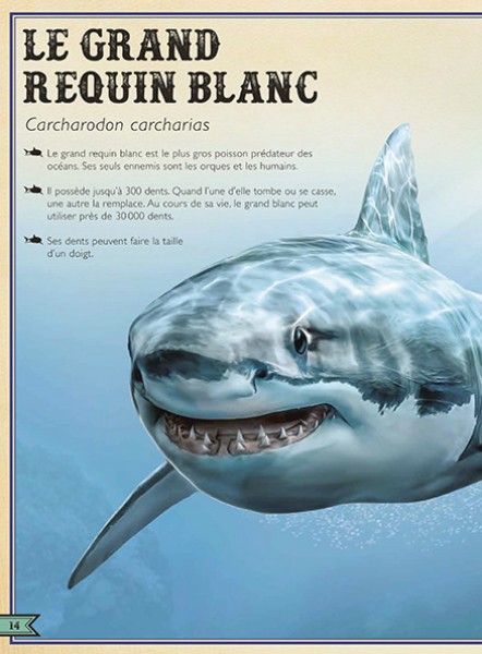 LE LIVRE EXTRAORDINAIRE DES REQUINS