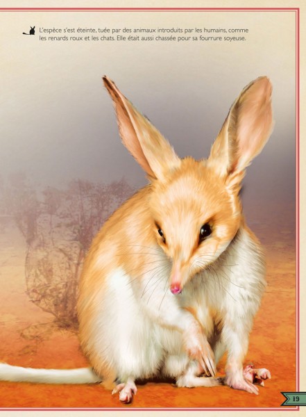 LE LIVRE EXTRAORDINAIRE DES ANIMAUX DISPARUS