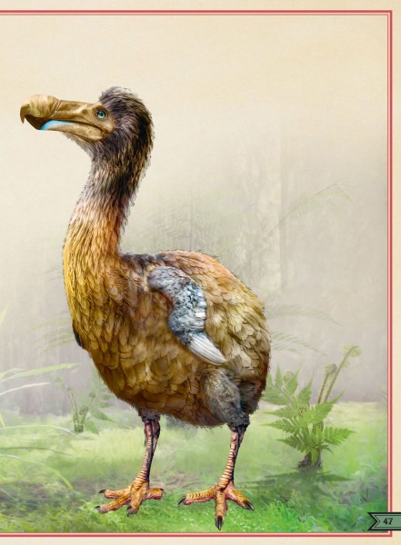 LE LIVRE EXTRAORDINAIRE DES ANIMAUX DISPARUS