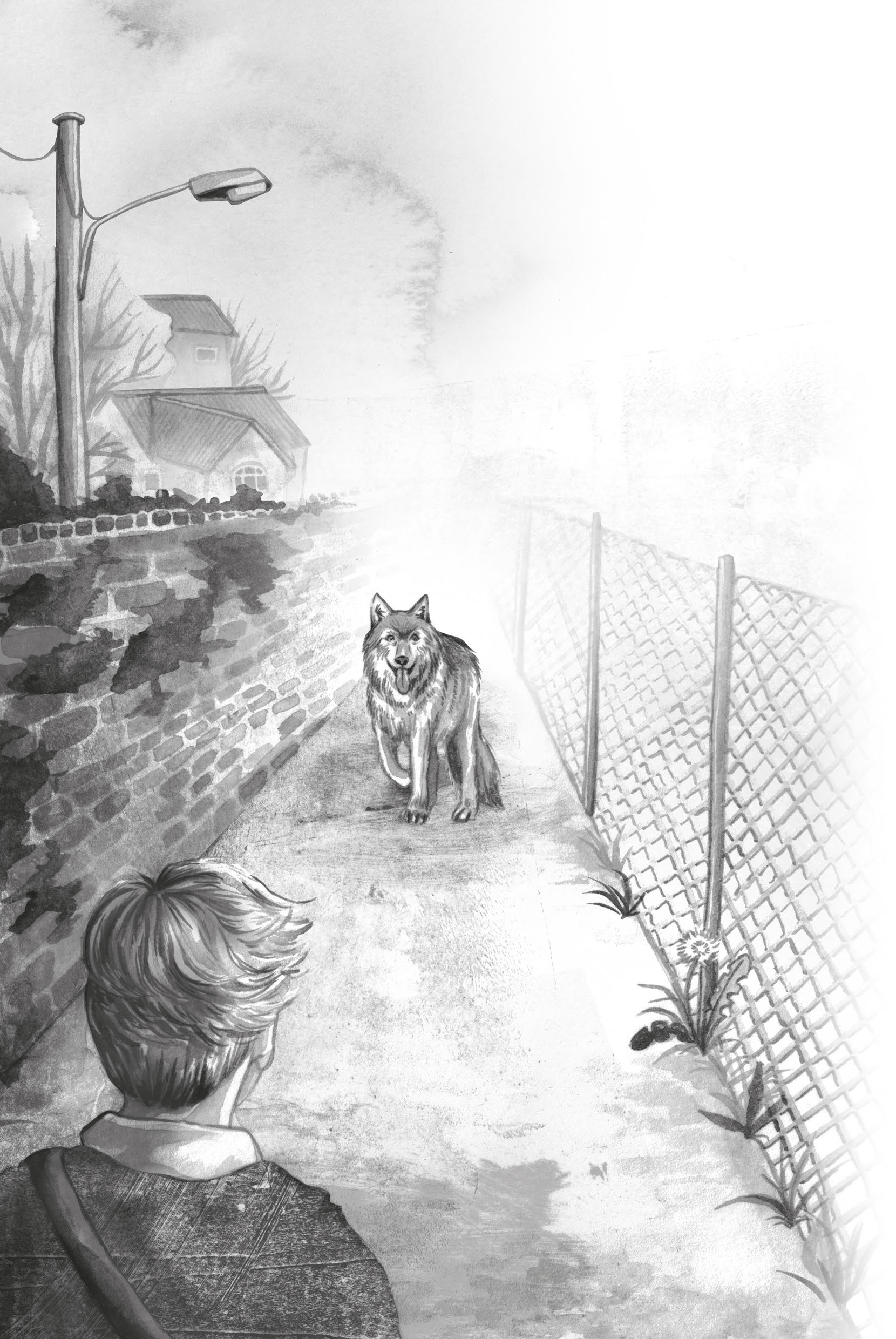 LA VOIX DU LOUP