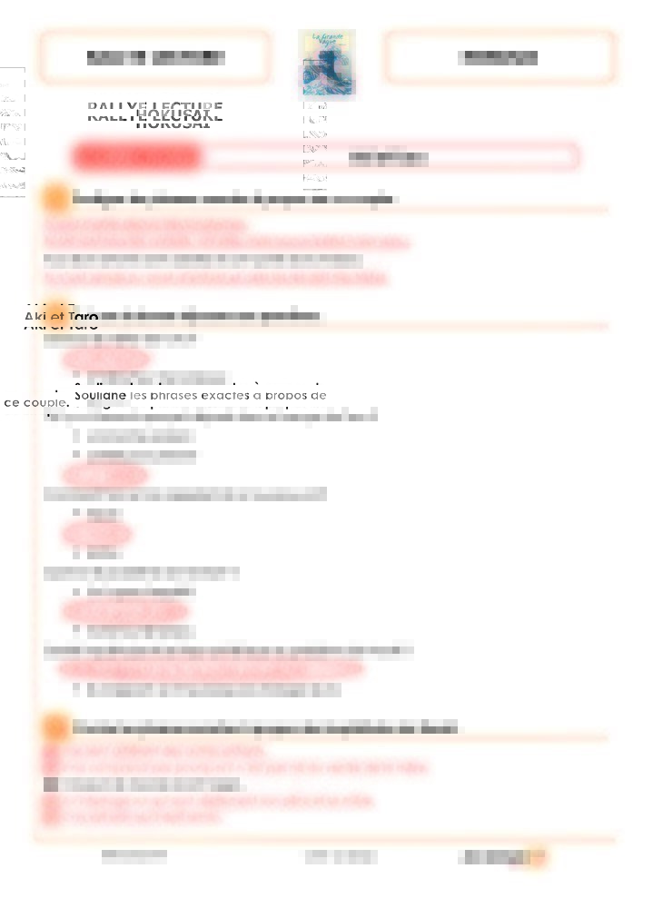 RALLYE DOC - PONT DES ARTS N2 (FICHIER SEUL)