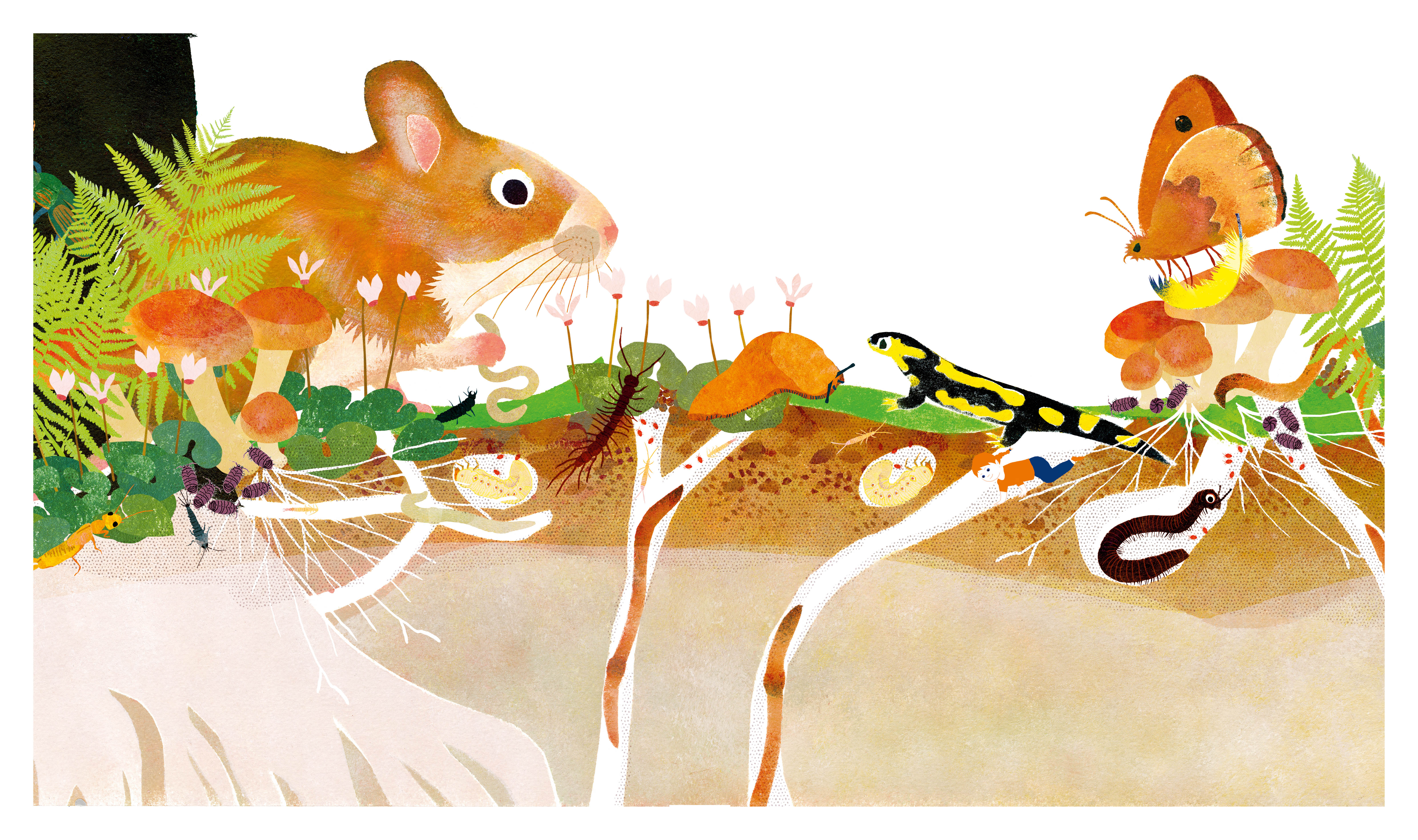 KAMISHIBAI MON GRAND VOYAGE