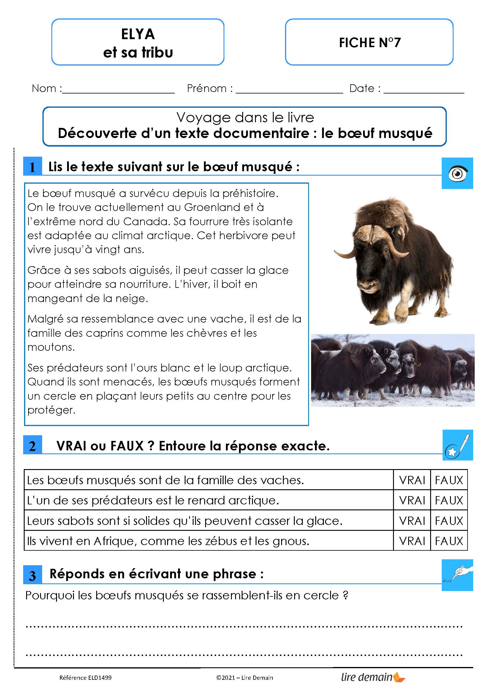 LECTURE SUIVIE - ELYA ET SA TRIBU (25 EX)