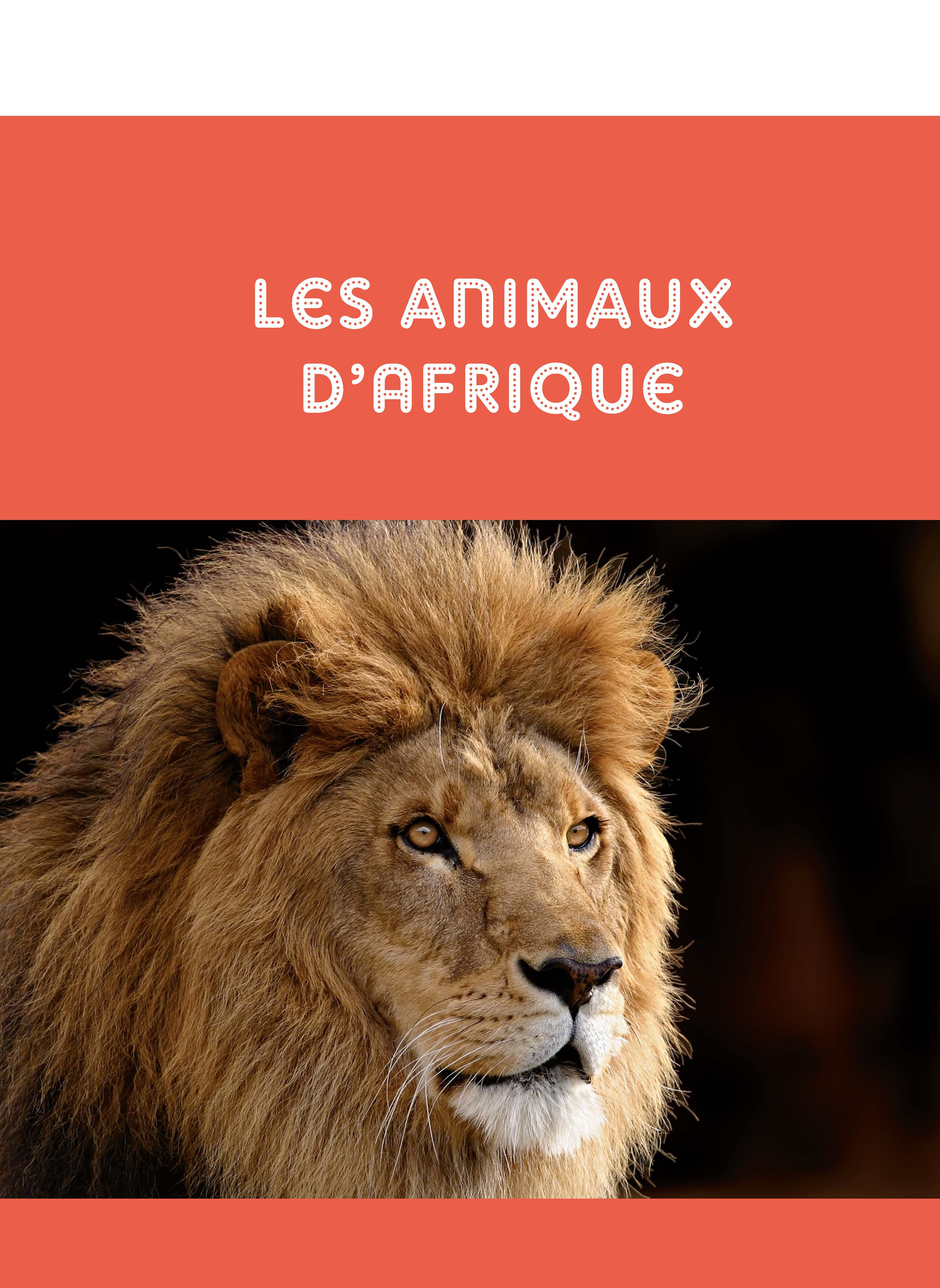 MON GRAND ANIMALIER DU MONDE