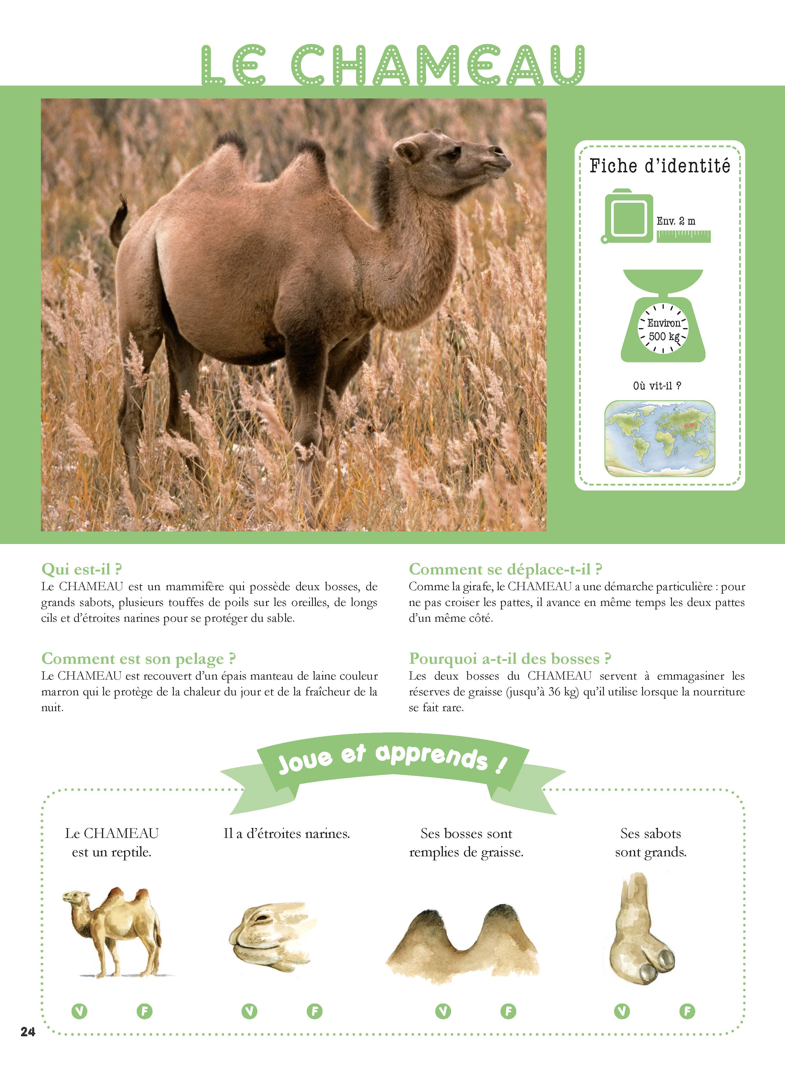 MON GRAND ANIMALIER DU MONDE