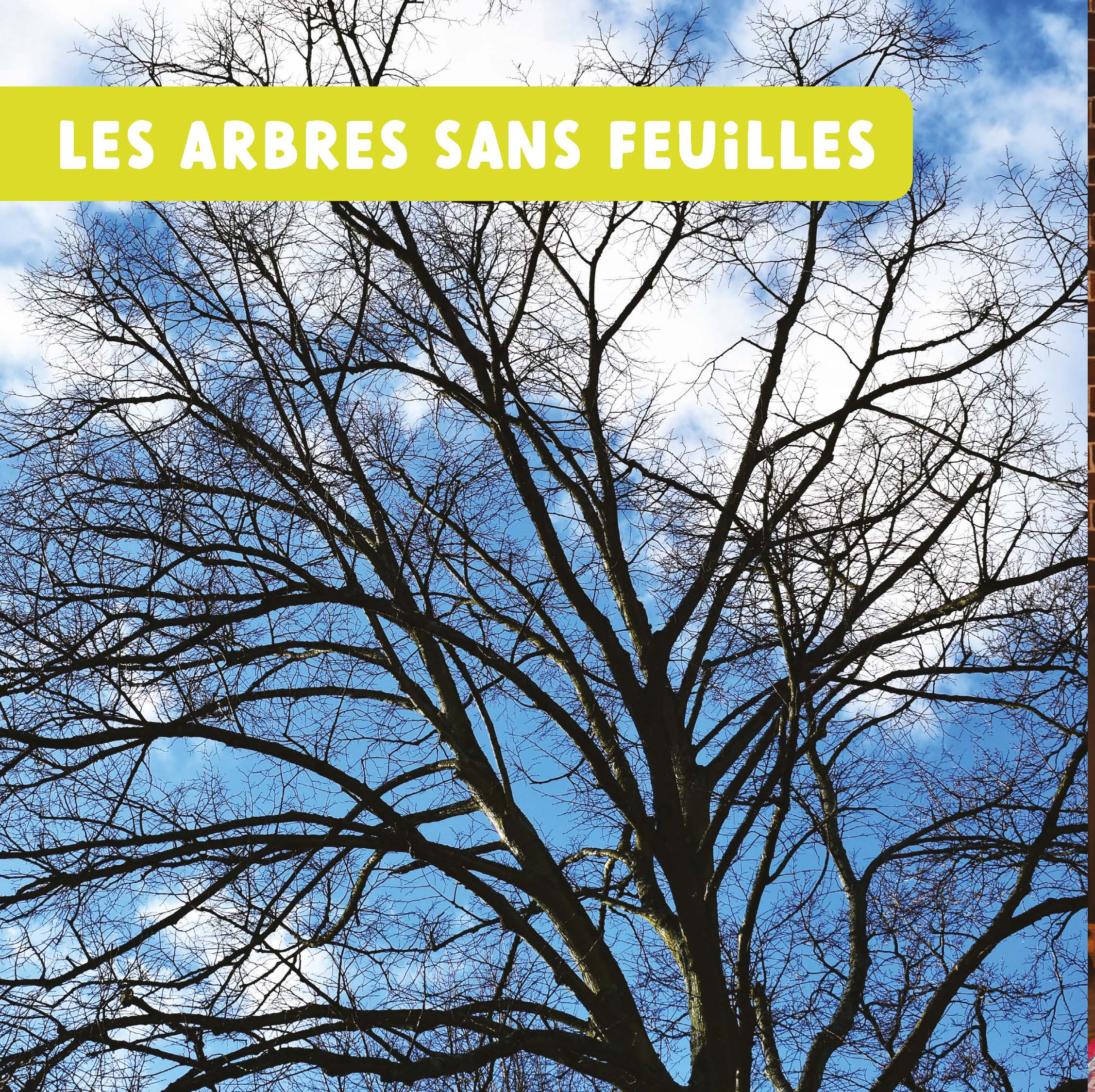 LES SAISONS - MON PREMIER DOC PHOTO