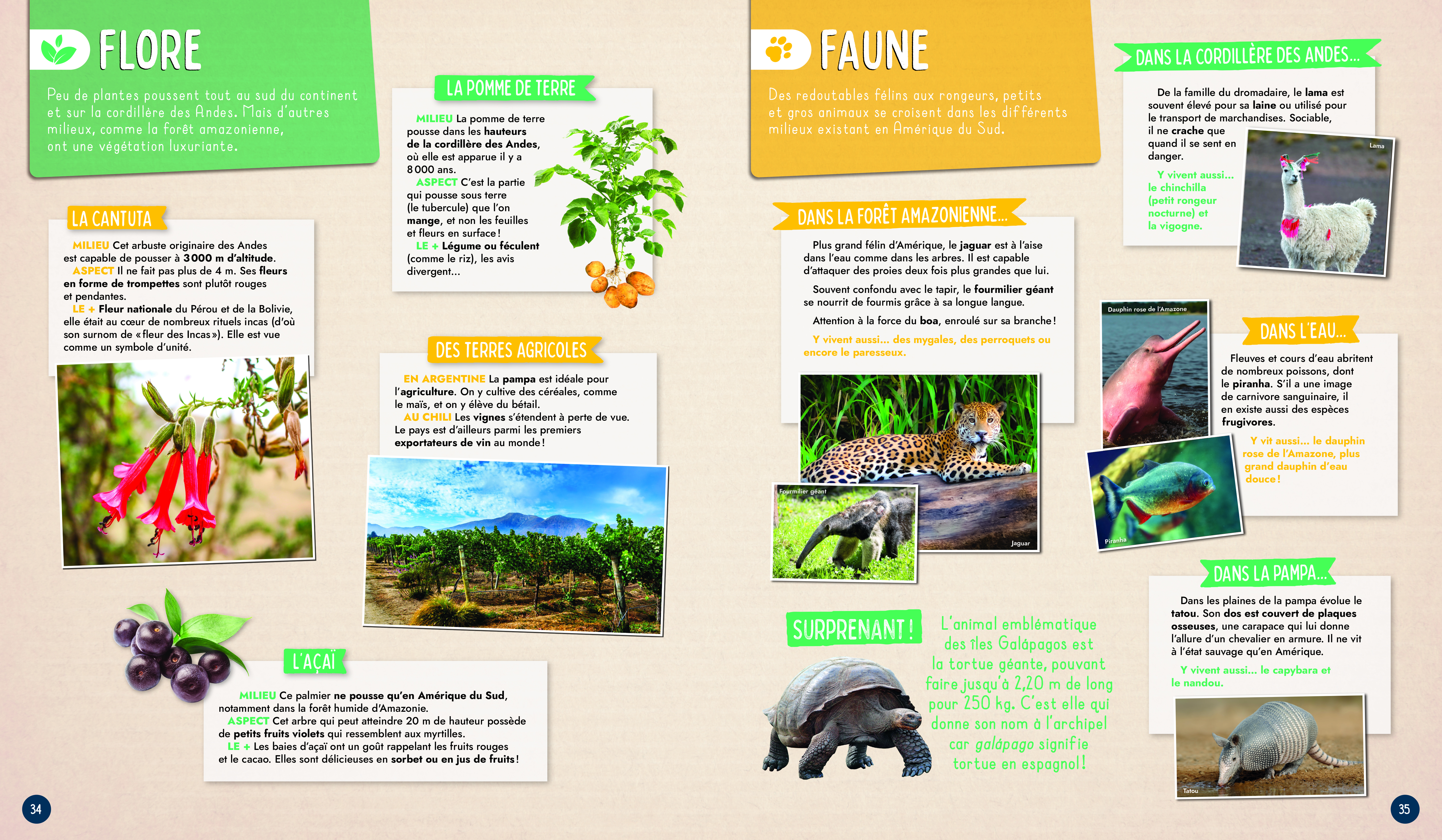 MON PREMIER ATLAS MON PREMIER ATLAS