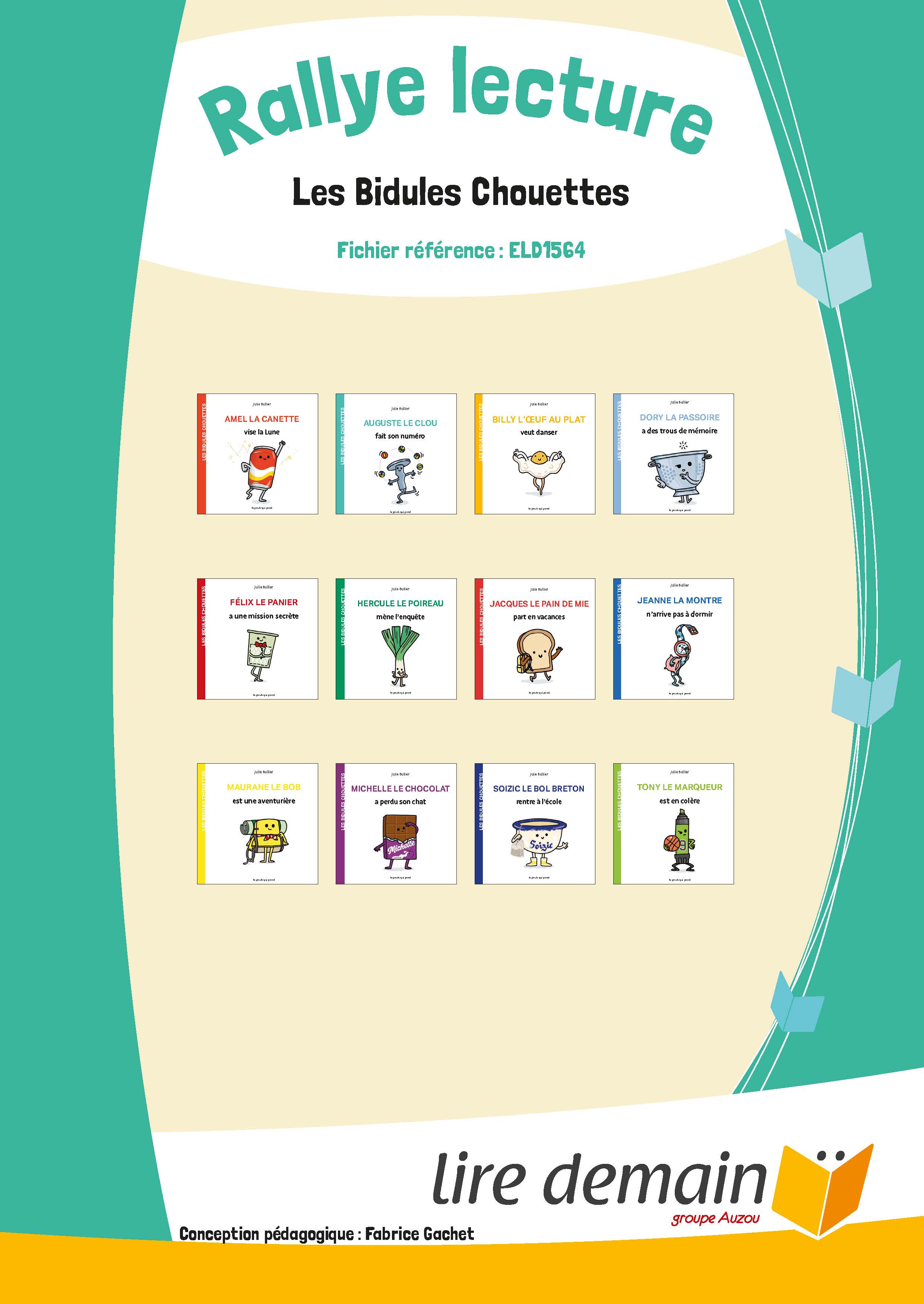 RALLYE LECTURE - LES BIDULES CHOUETTES (FICHIER SEUL)