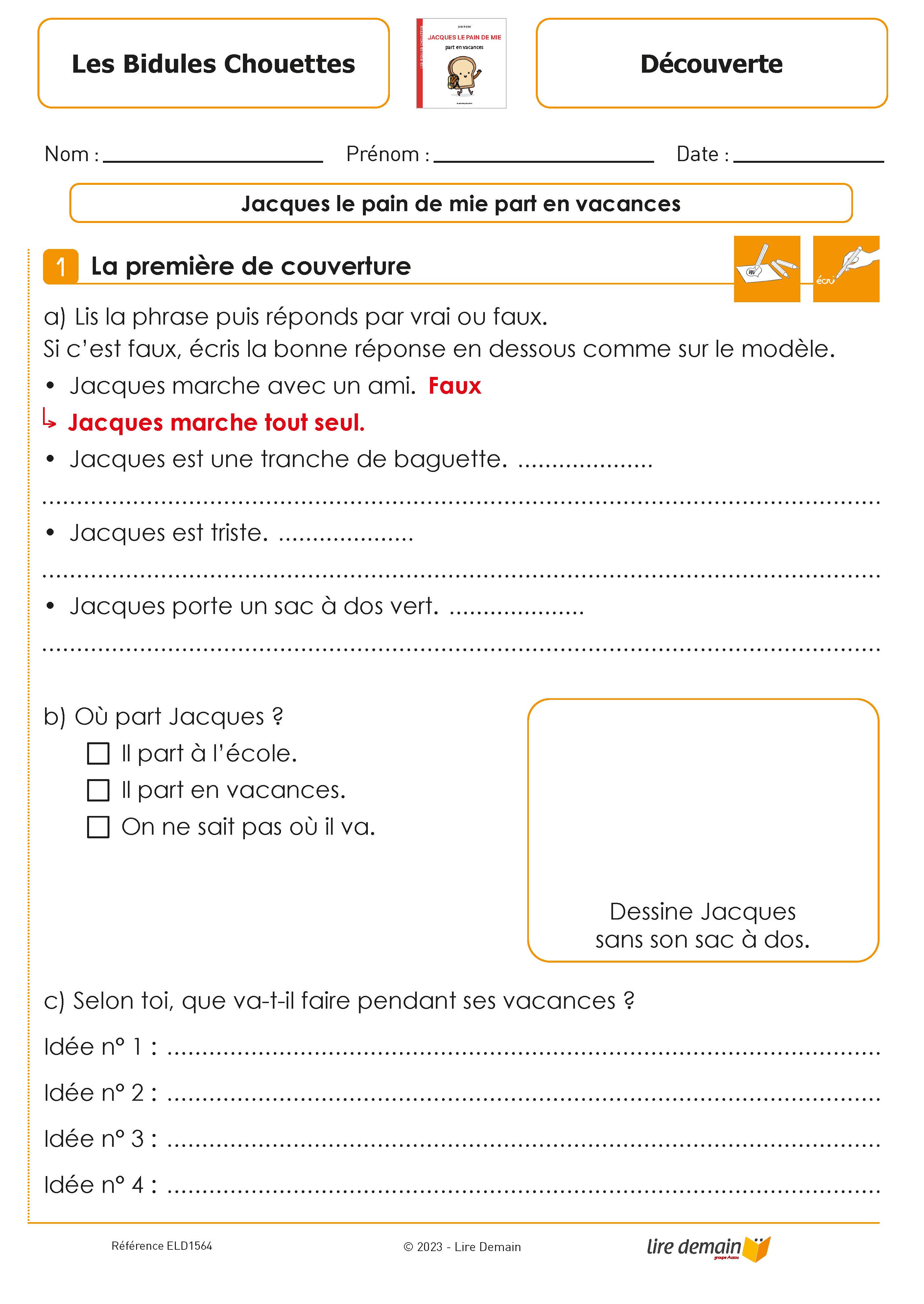 RALLYE LECTURE - LES BIDULES CHOUETTES (FICHIER SEUL)
