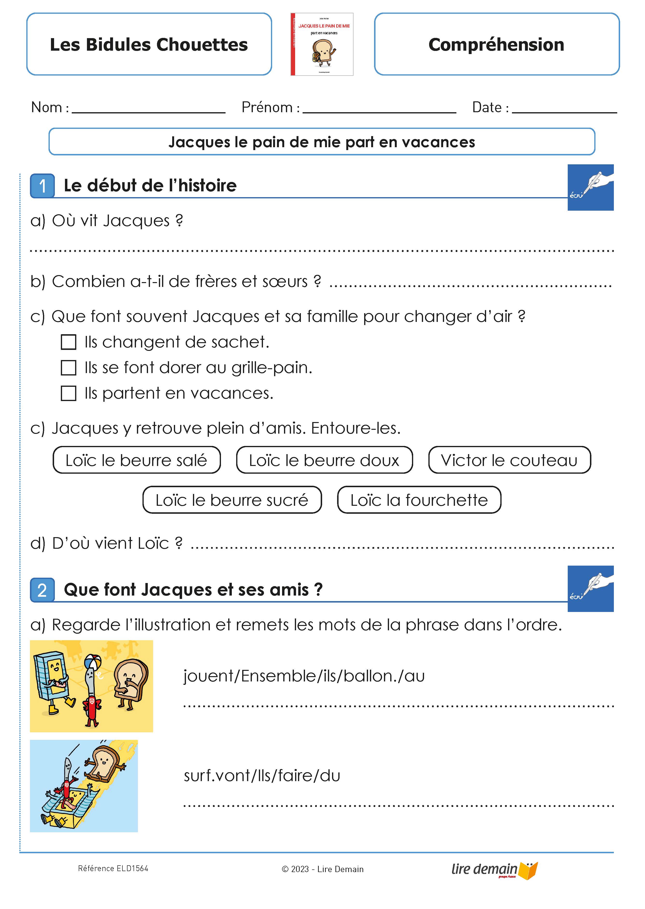 RALLYE LECTURE - LES BIDULES CHOUETTES (FICHIER SEUL)