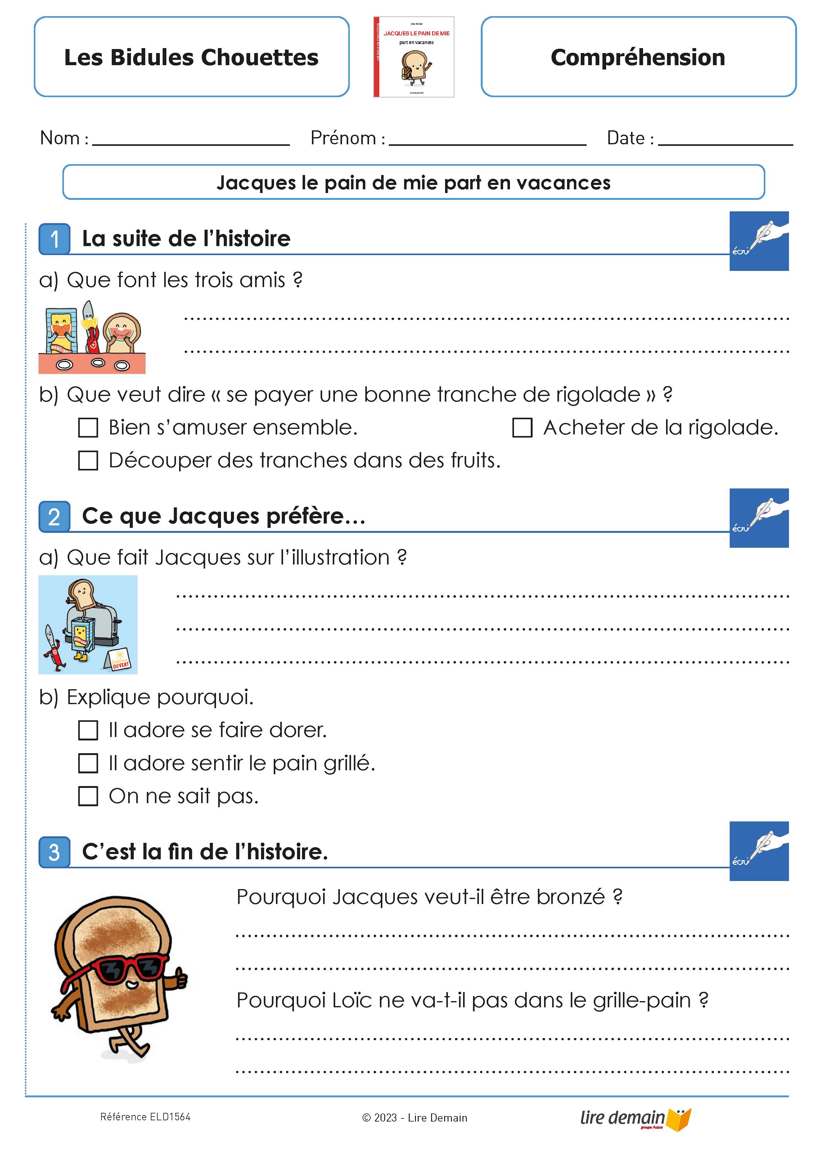 RALLYE LECTURE - LES BIDULES CHOUETTES (FICHIER SEUL)